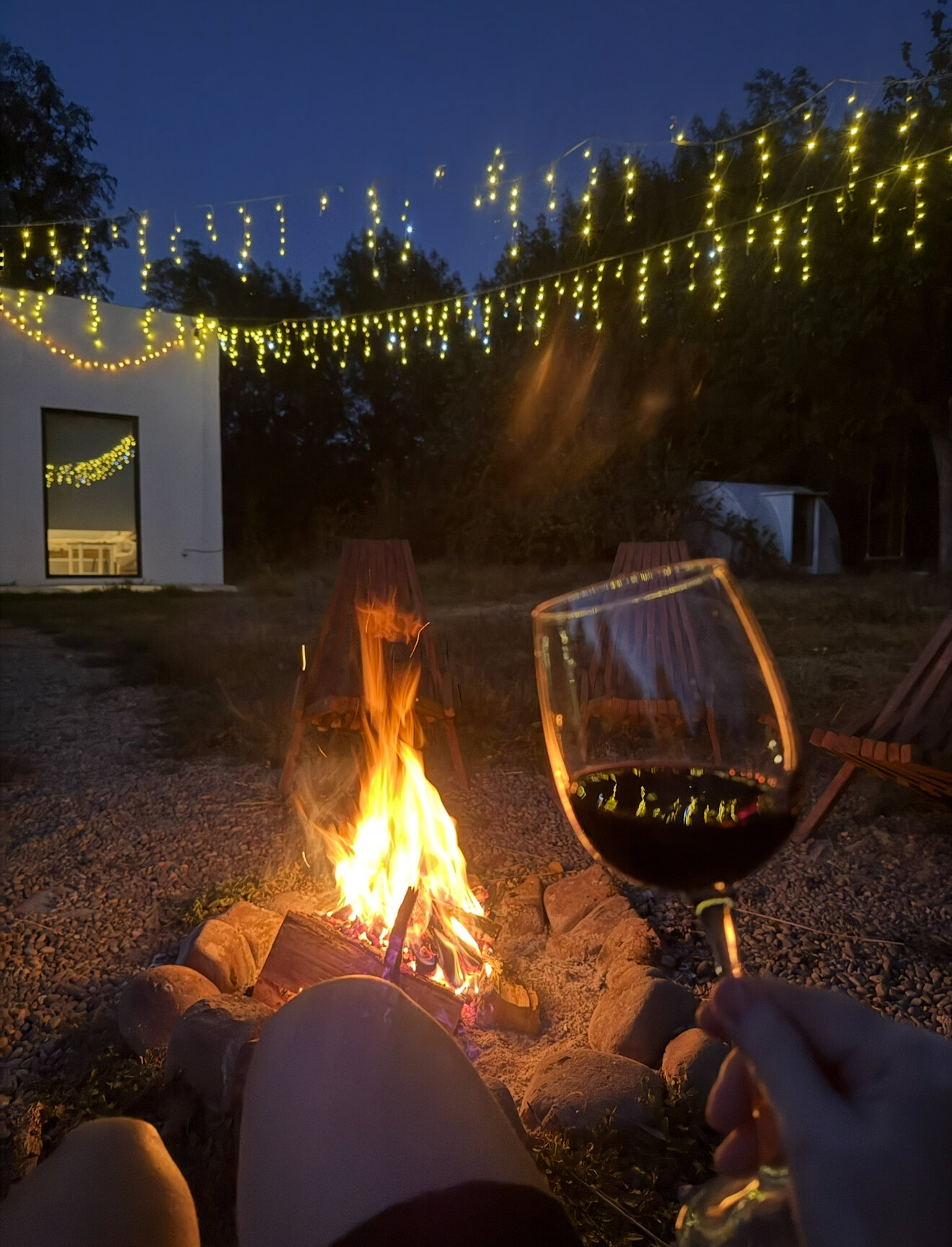 Фото Тихий Лес