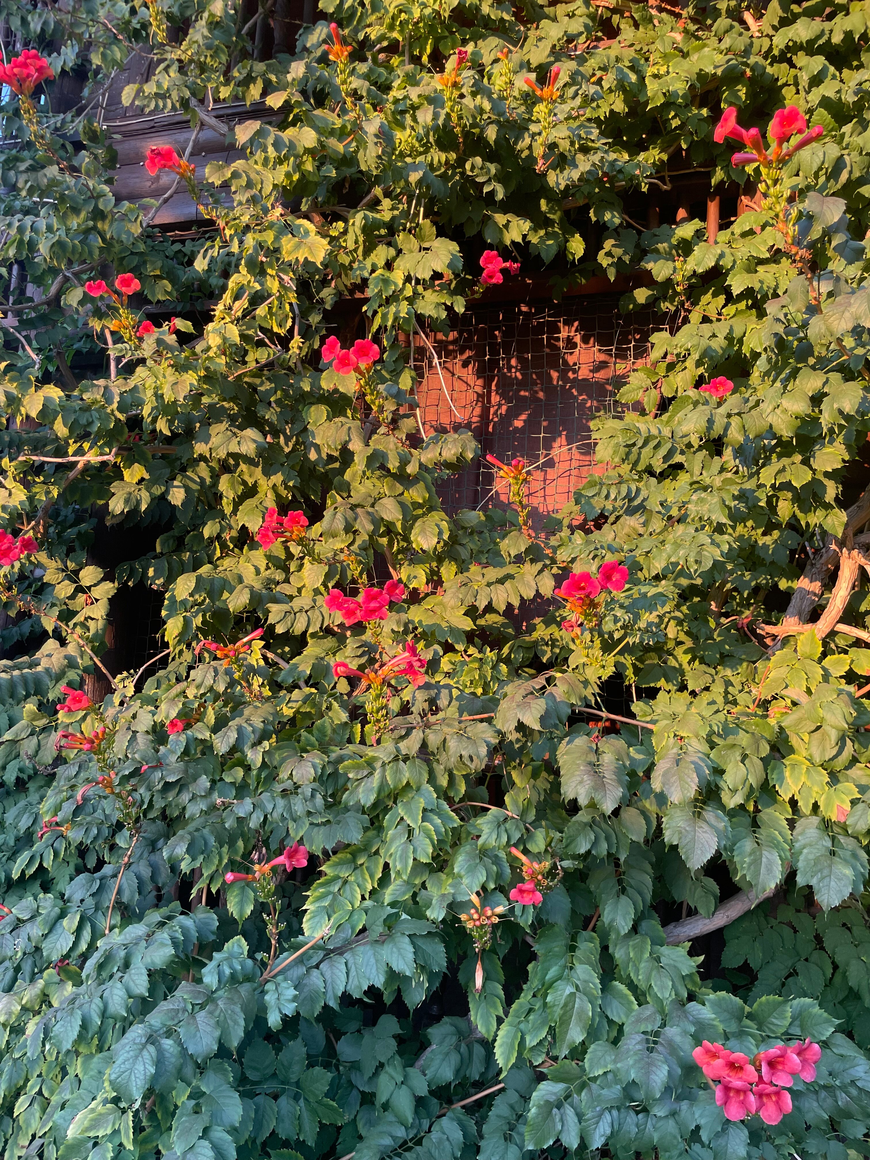 Фото Надежда