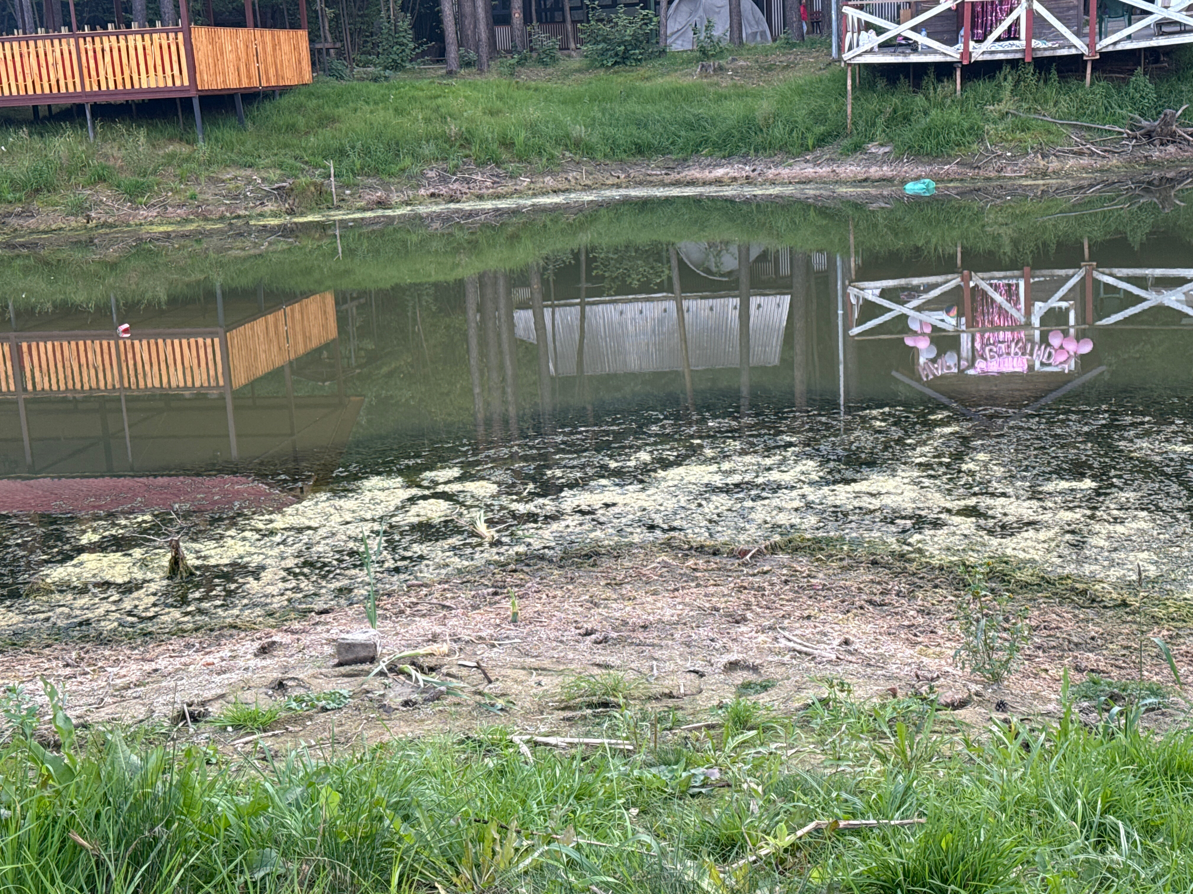 Фото Дрожжино парк