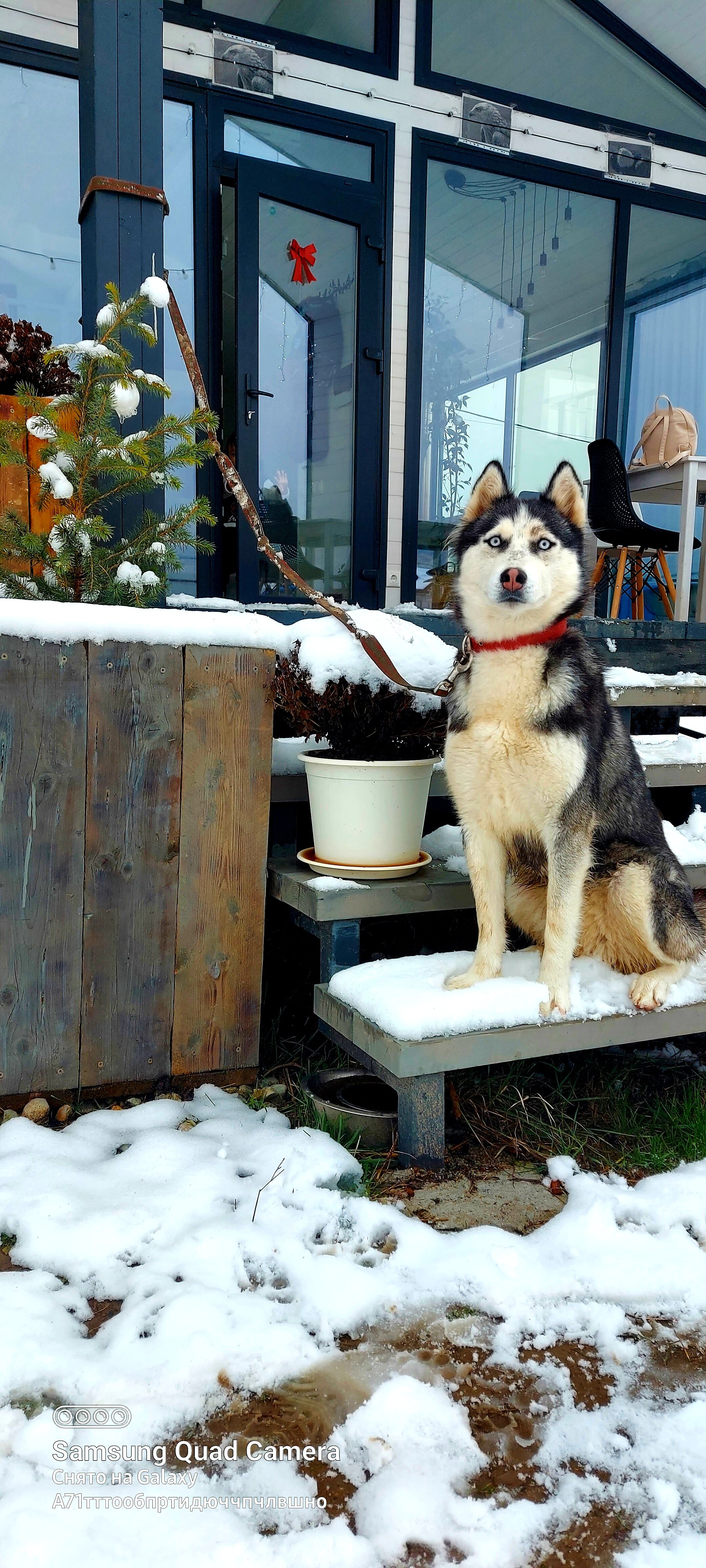 Фото Дом у реки