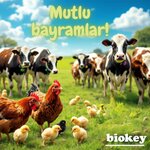 Bıokey - Bıokey Gıda Tarım Ve Hayvancılık (Istanbul, Cekmekoy, Mimar Sinan Neighborhood, Ethem Street, 3) ، علف وإضافات غذائية