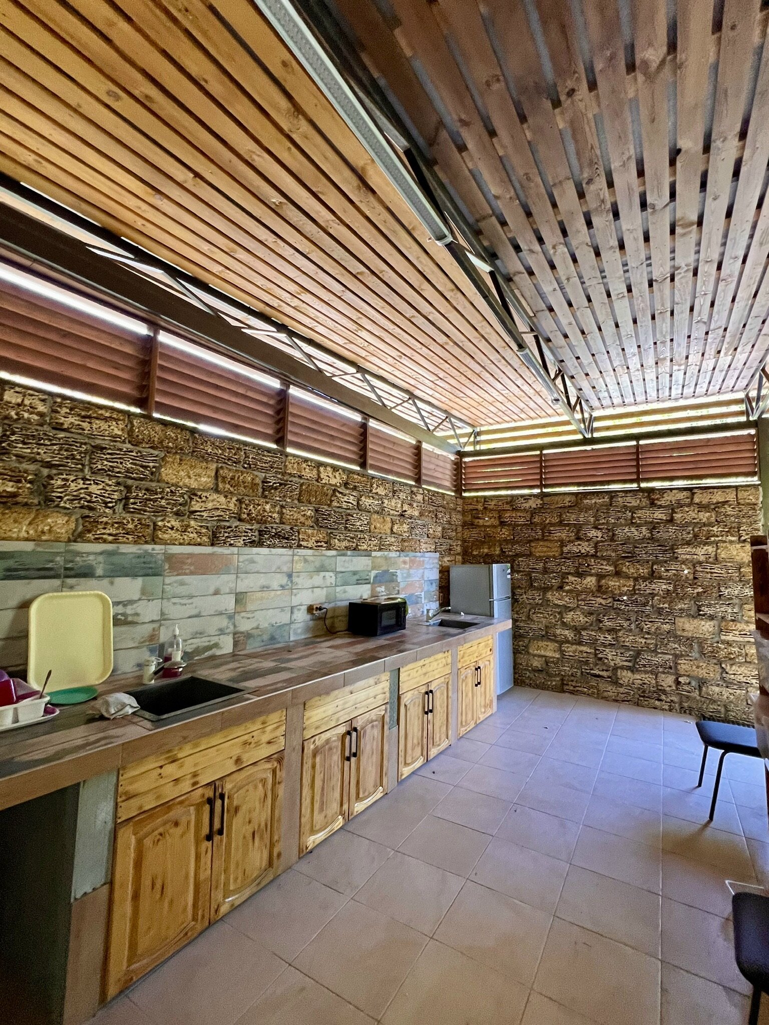 Фото Ромашка