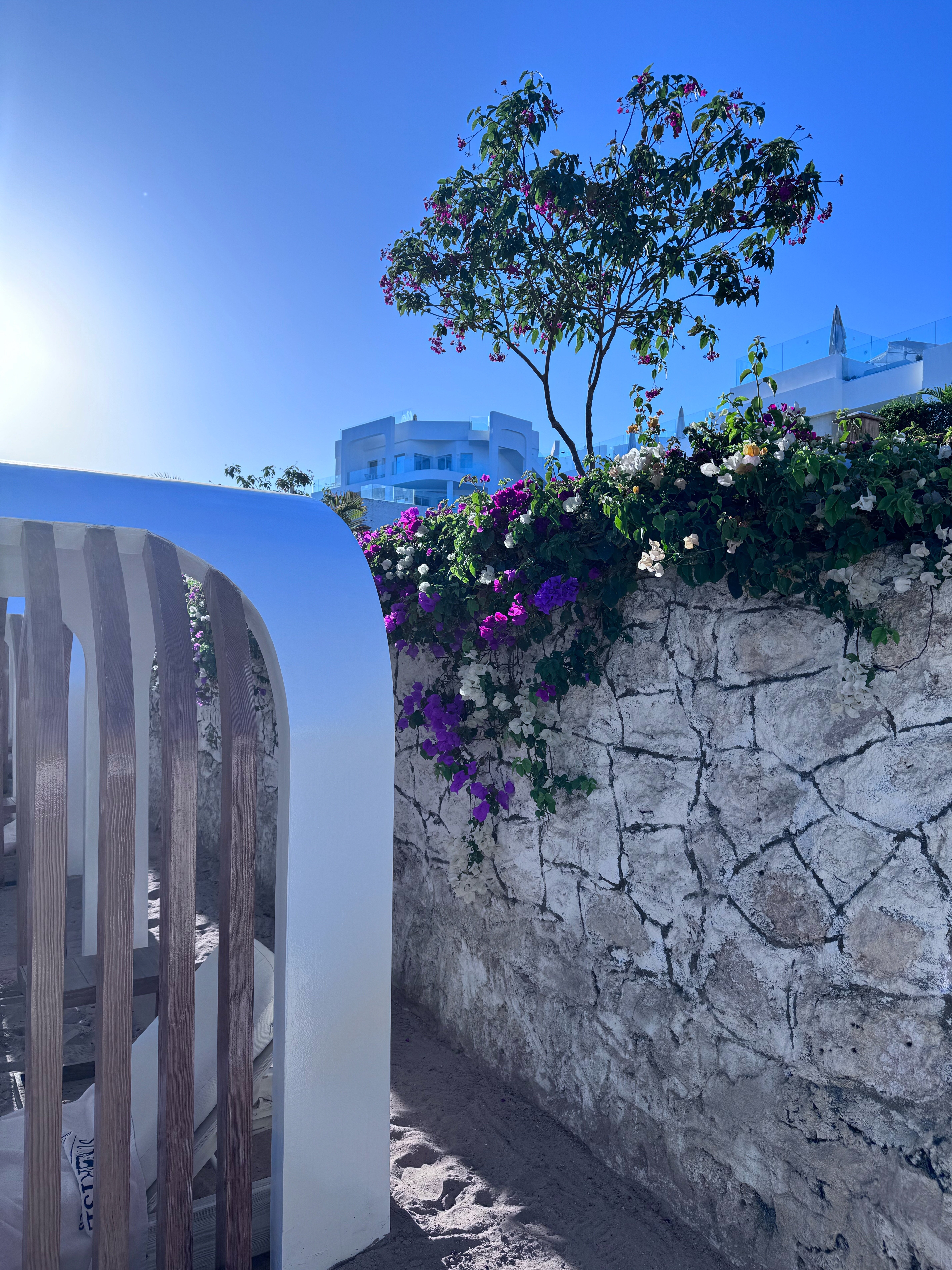 Фото White Hills Resort