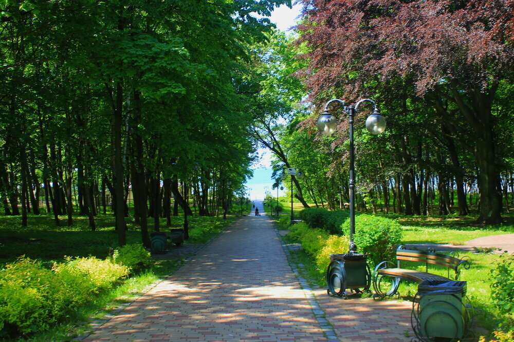 Фото Беккер