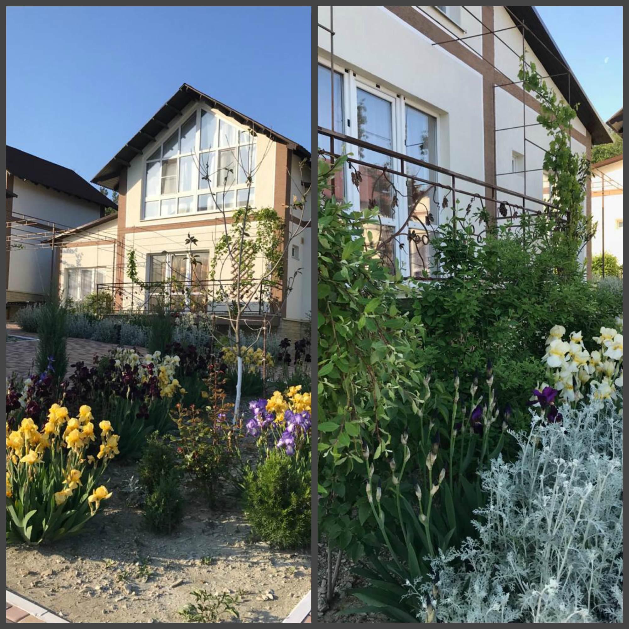 Фото Шато ди лиз