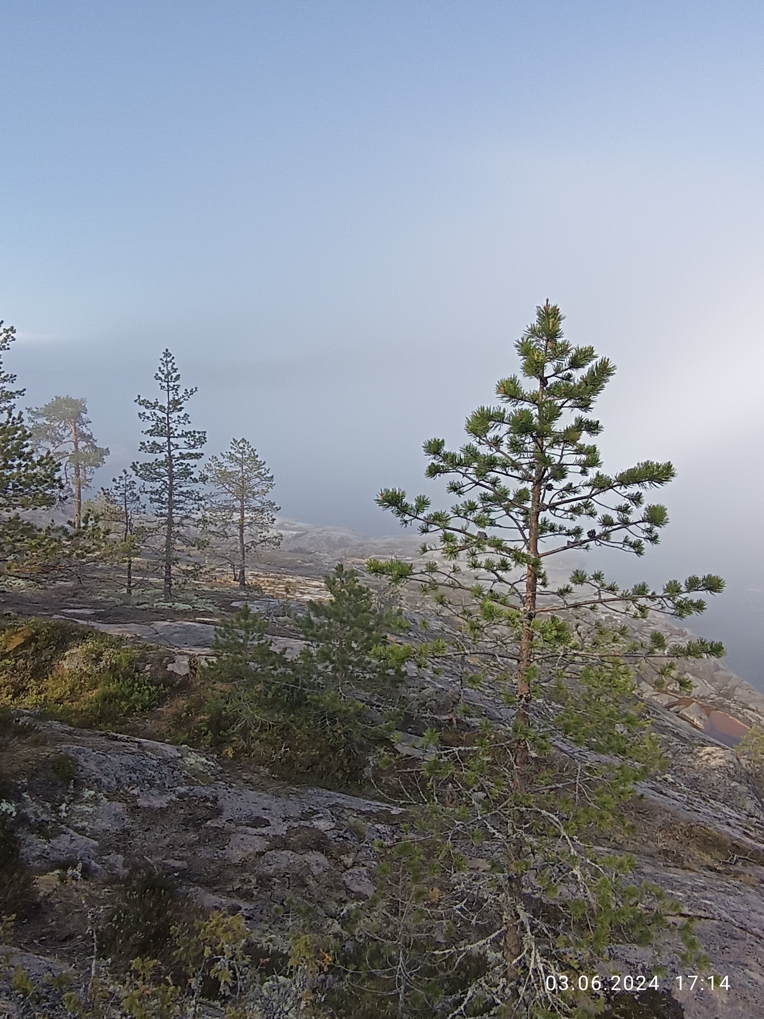 Фото Домики на Тихой