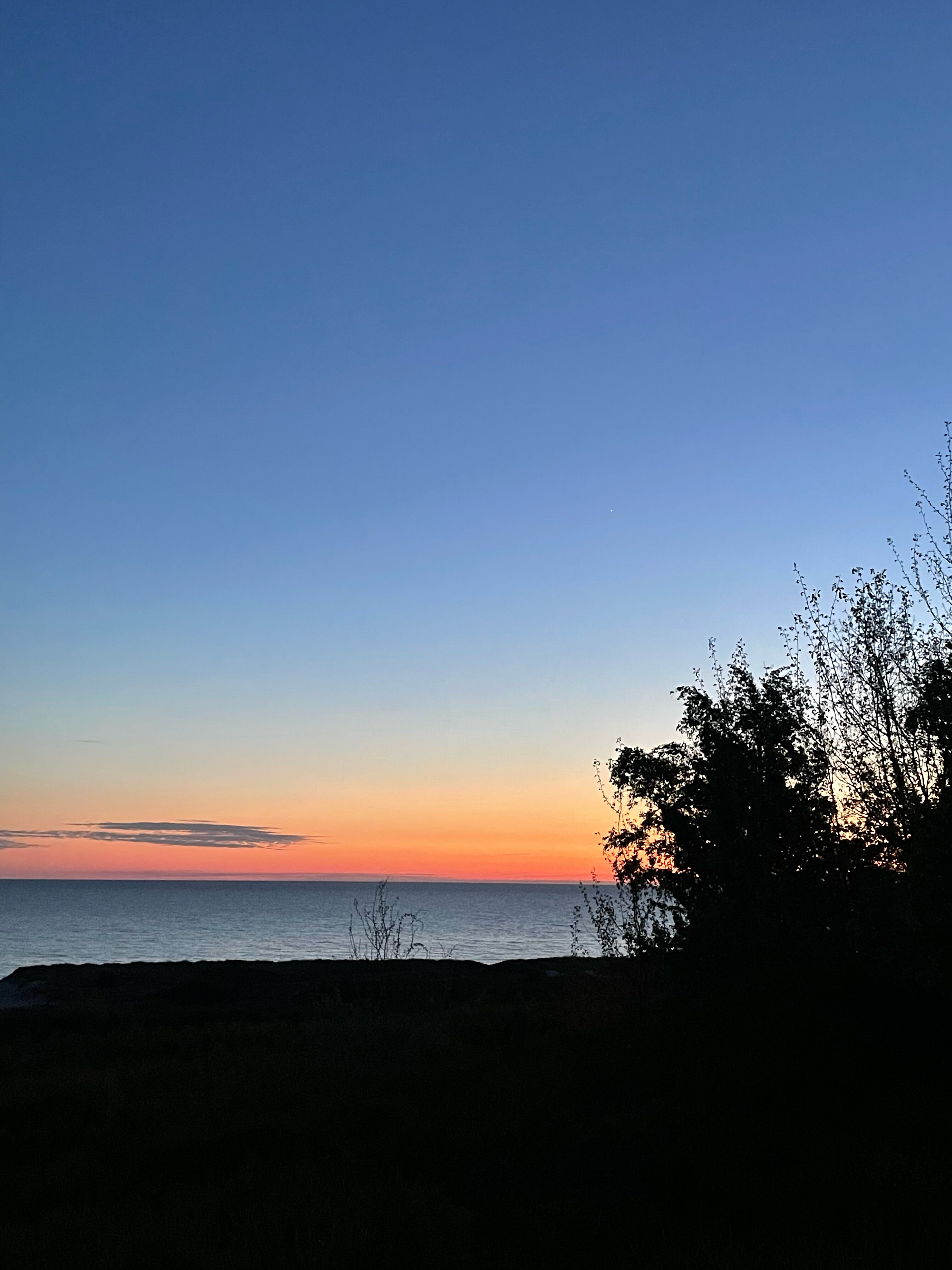 Фото Янтарная Корона