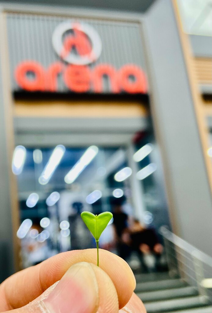 Clothing store Arena, Andijan, photo