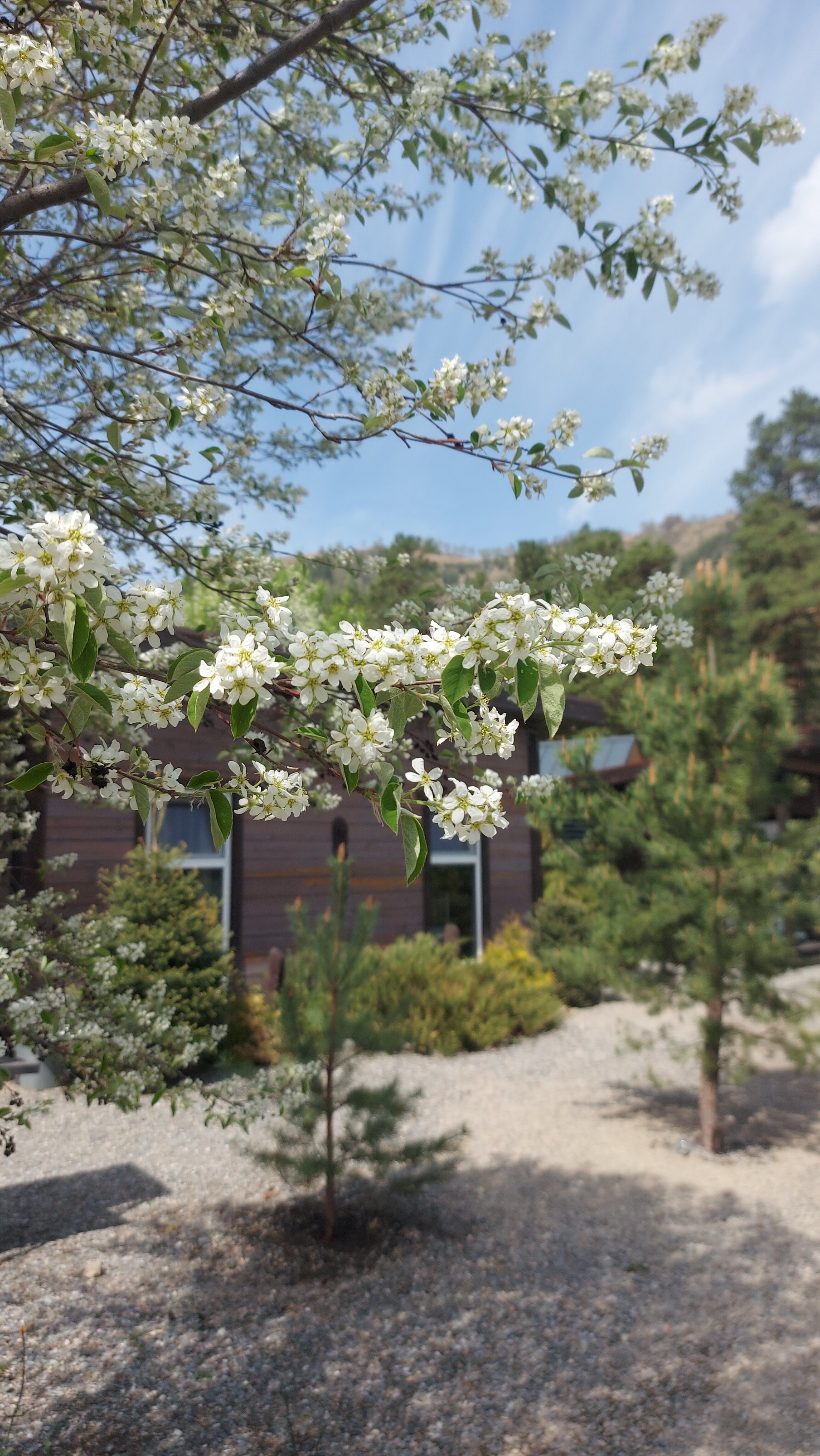 Фото Manzerok_house