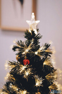 Гостиница Luna