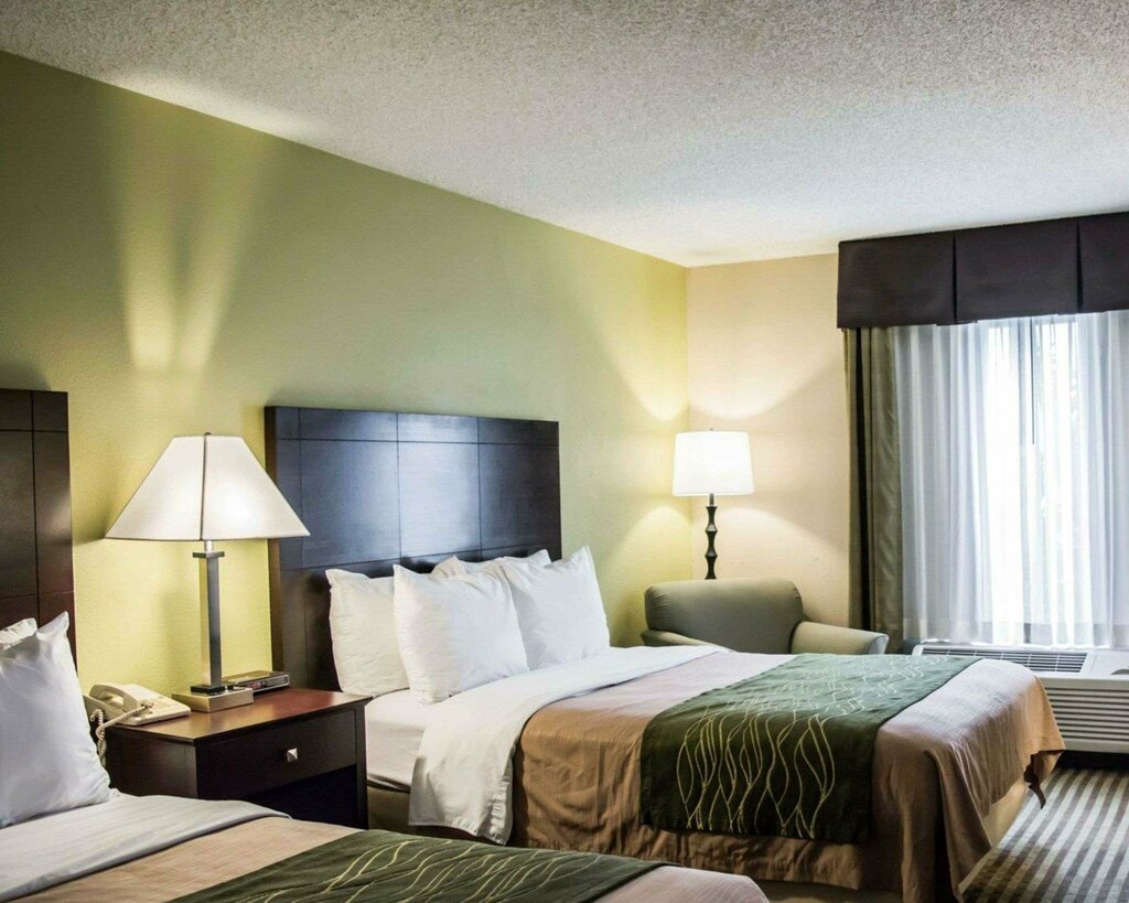 Hotel Comfort Inn & Suites St. Pete - Clearwater International Airport, Clearwater, photo