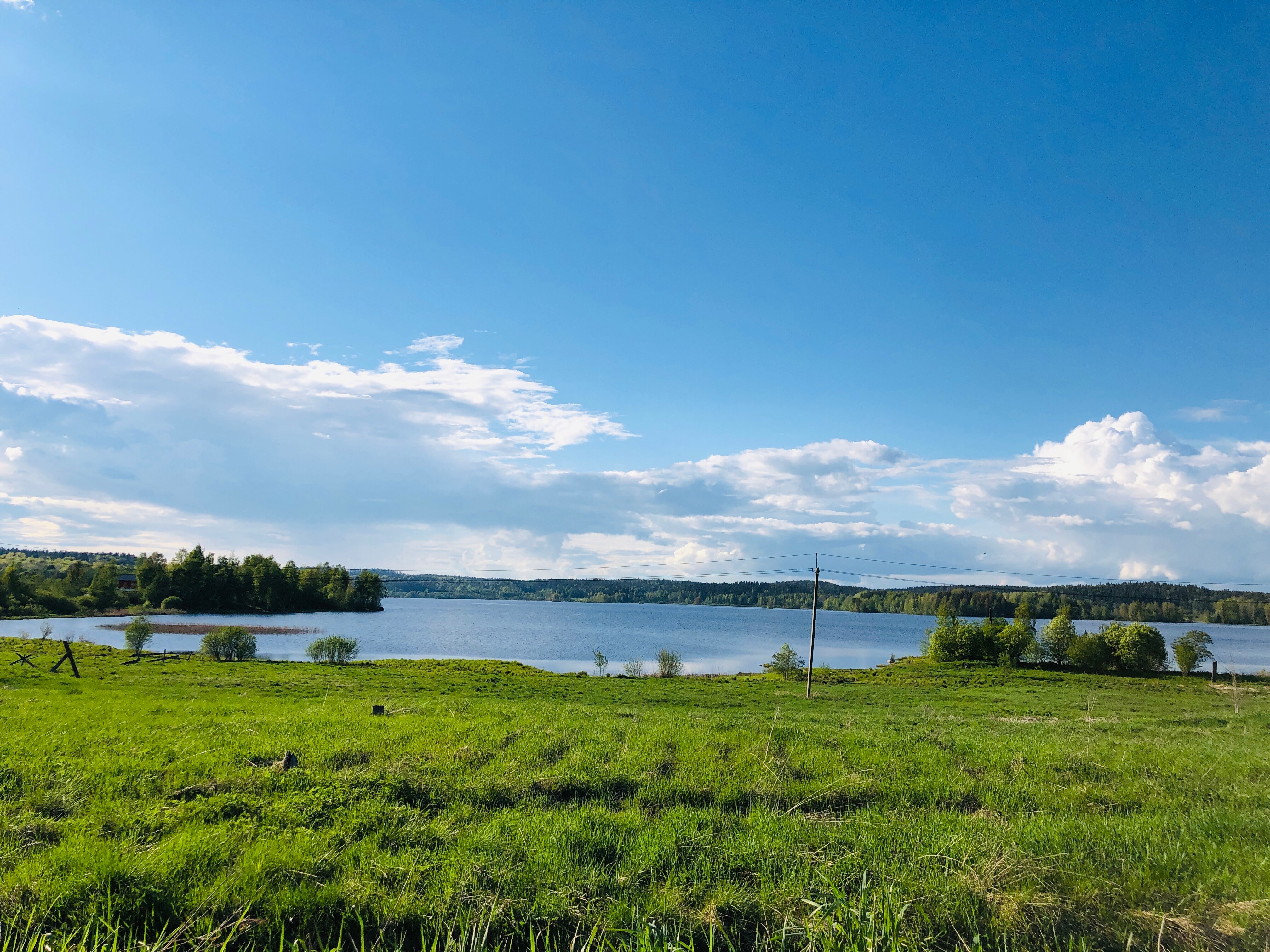 Фото Южный Берег