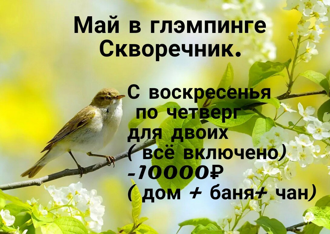 Фото Скворечник