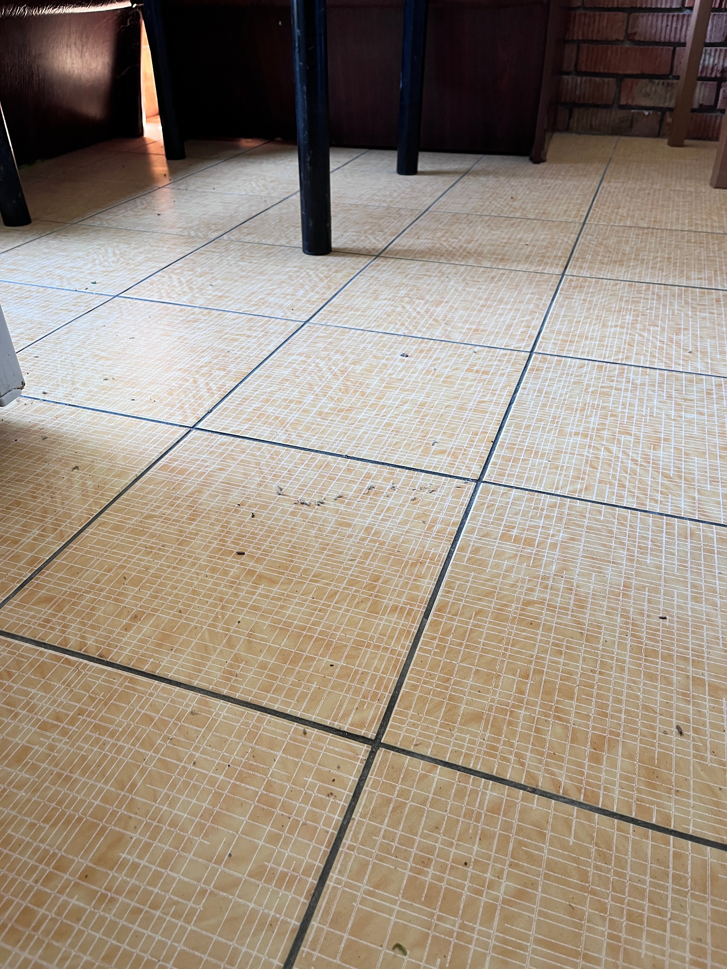 Фото Лилия-1