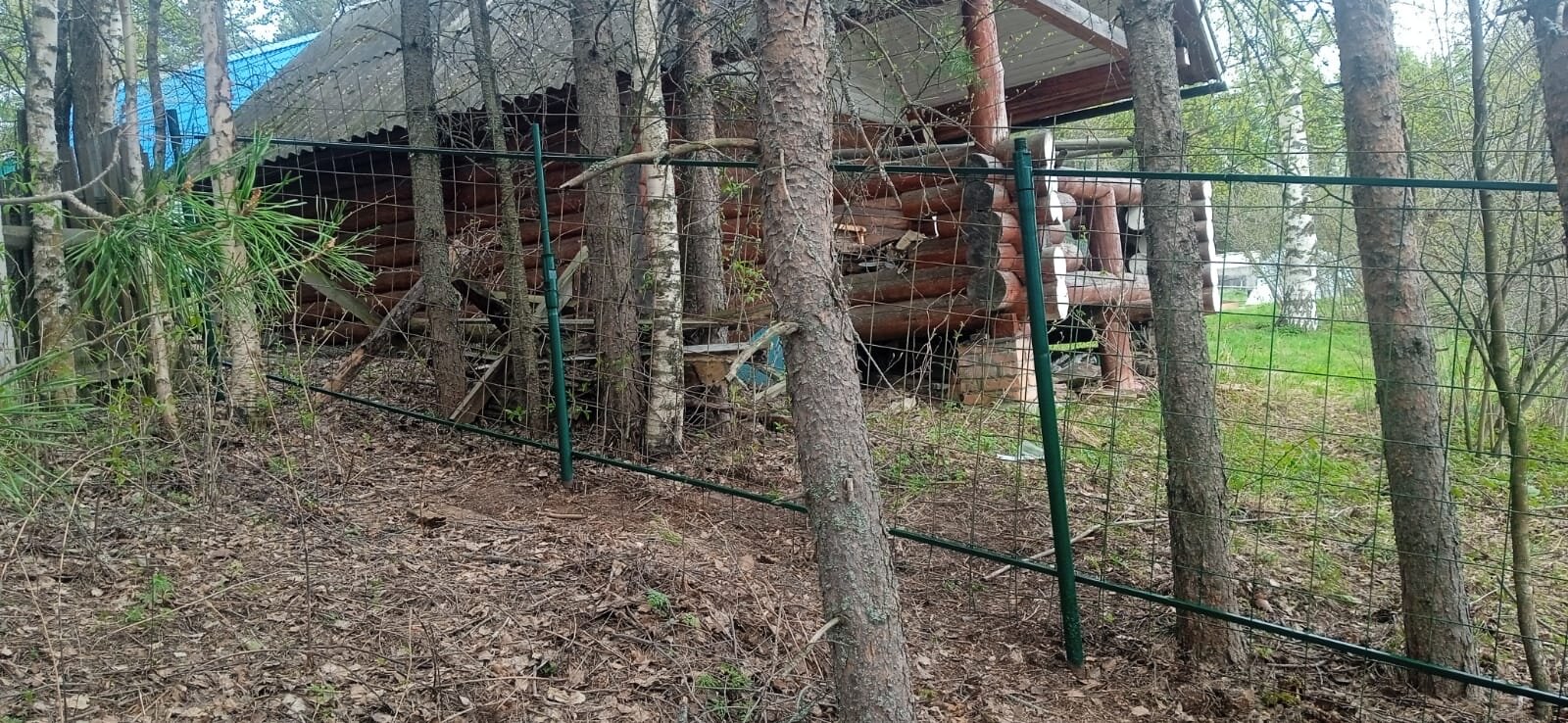 Фото Дом у заповедника