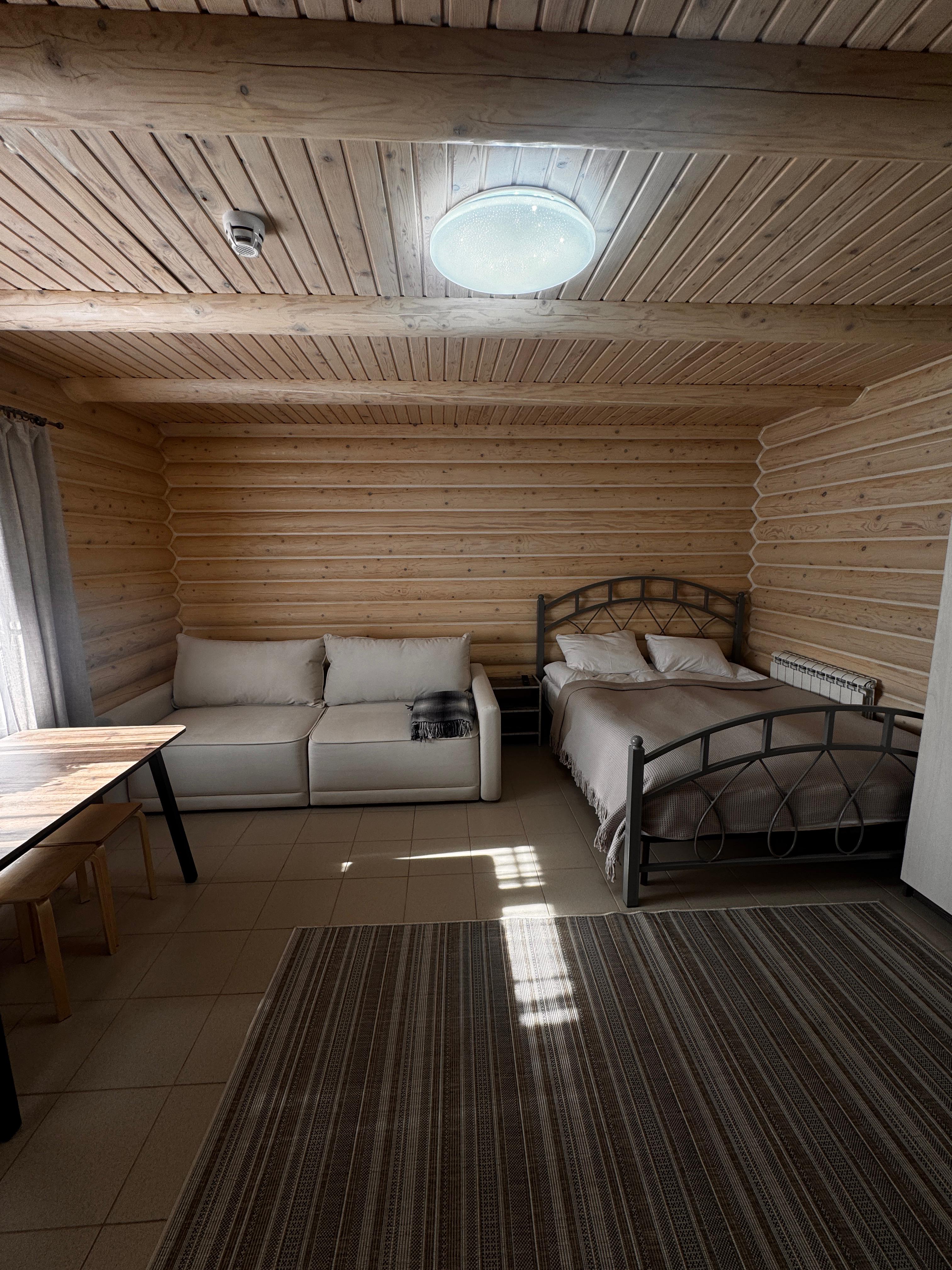 Фото Рыжий кот