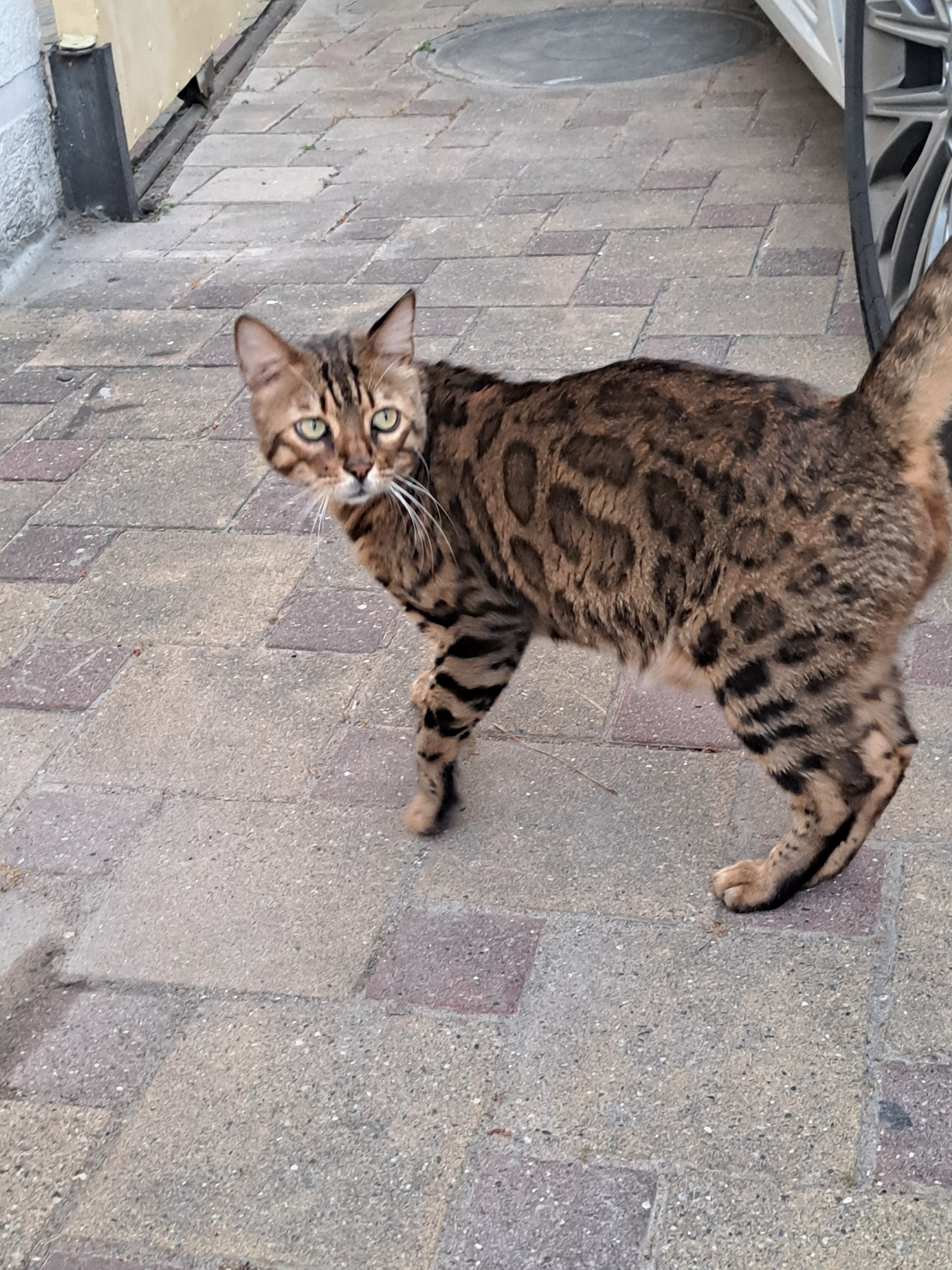 Фото Неолит