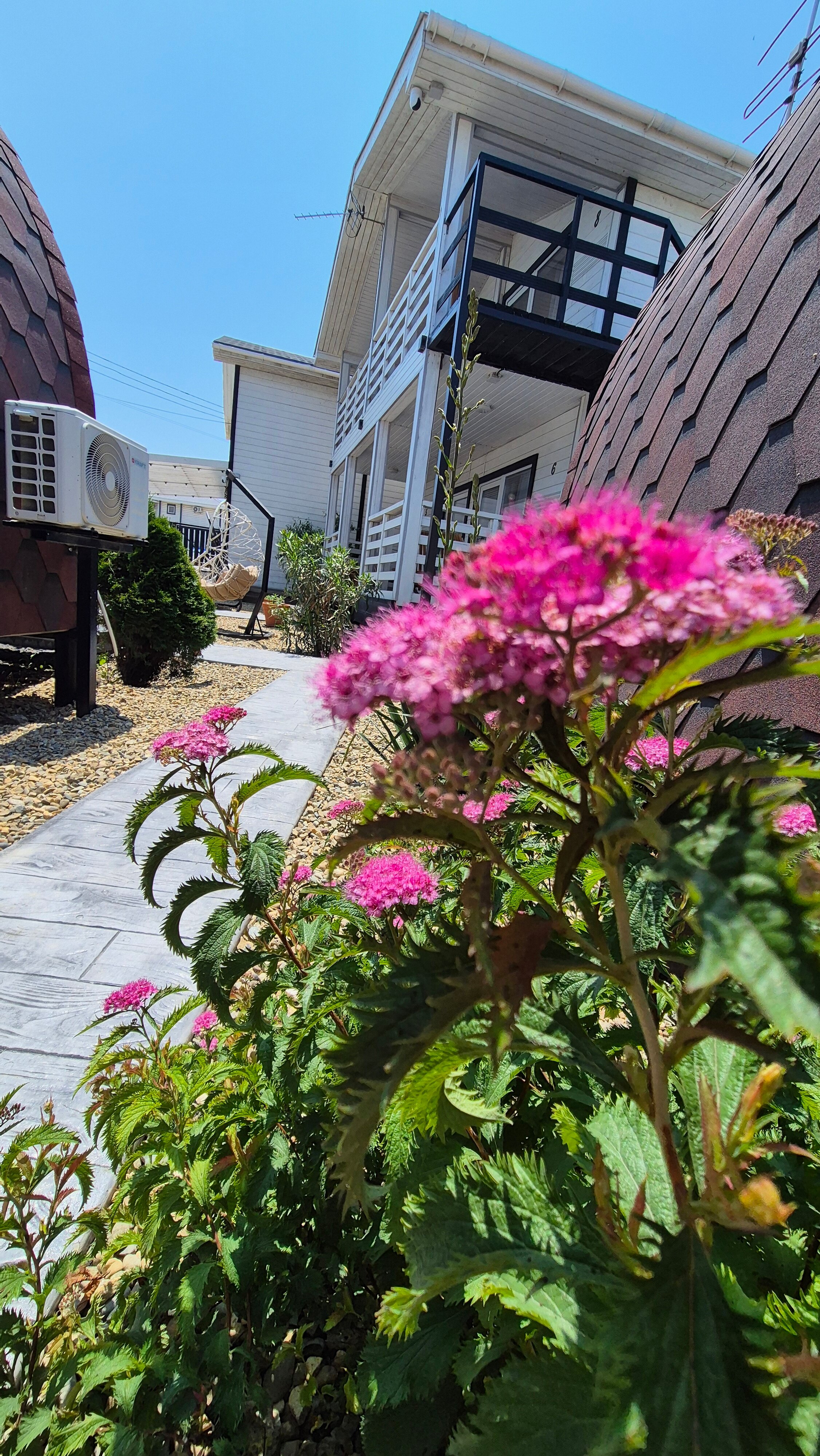 Фото Велбот