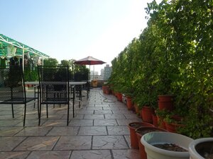 Гостиница Green Oasis Hotel