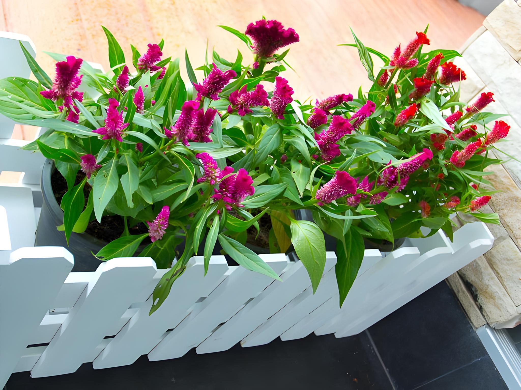 Фото The Centrino Serviced Residence