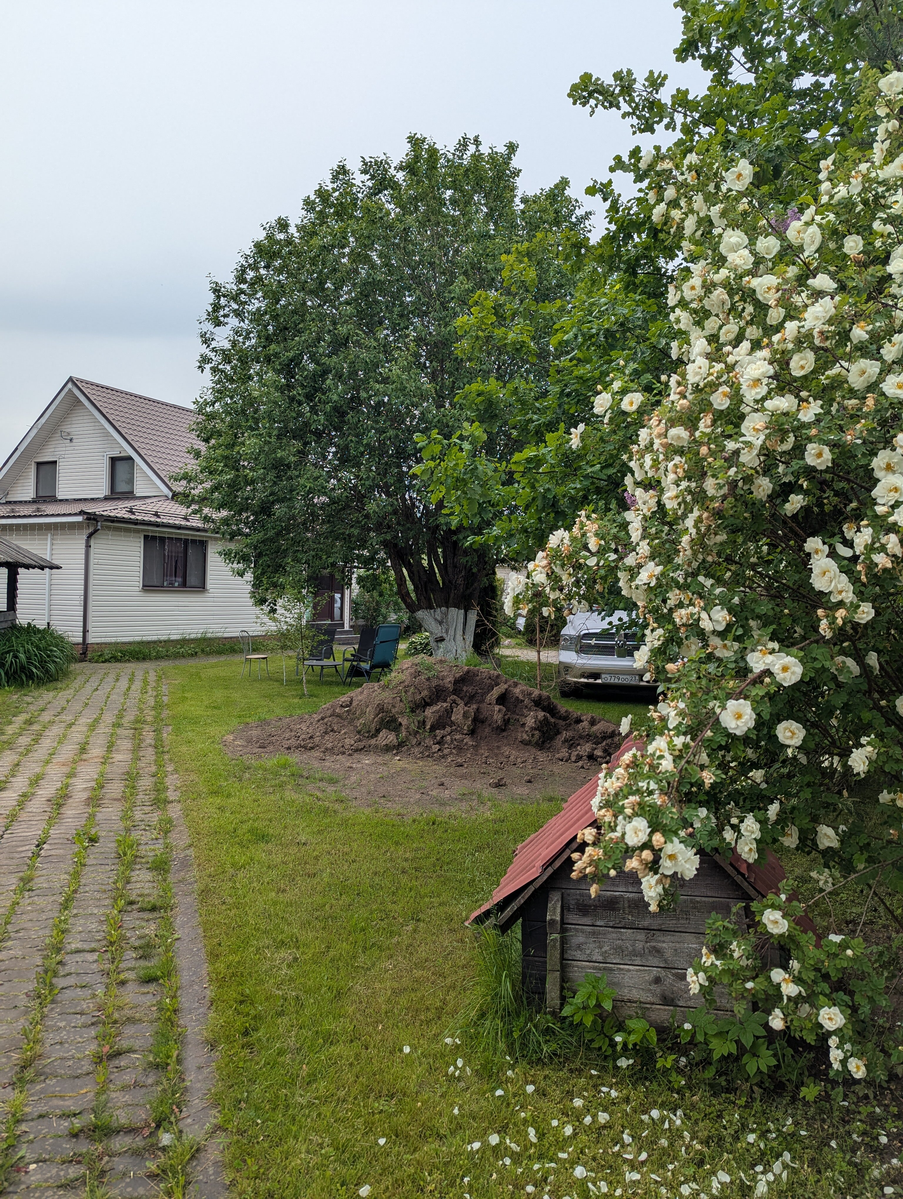 Фото Катарина Хоф