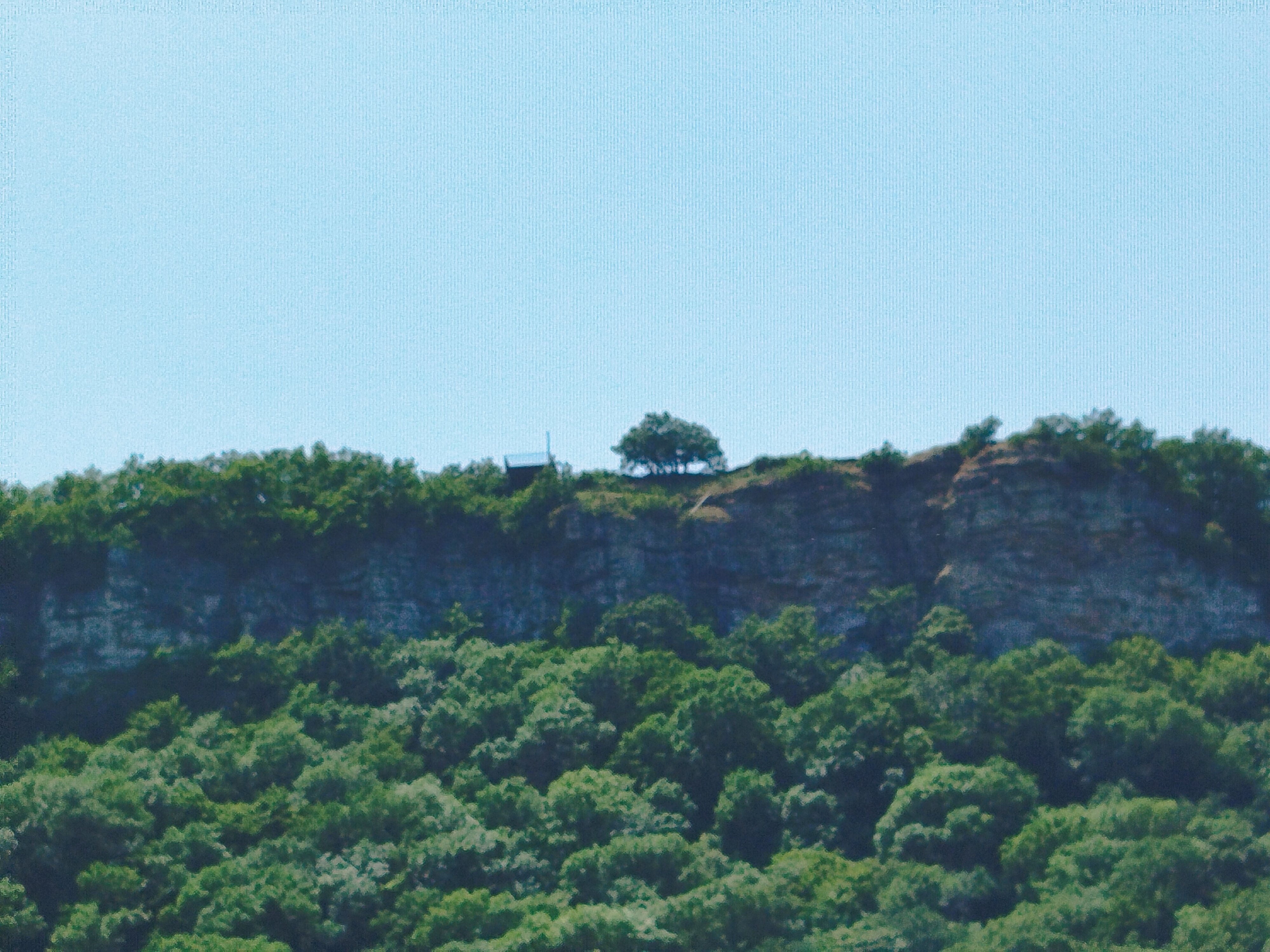 Фото В Тарках