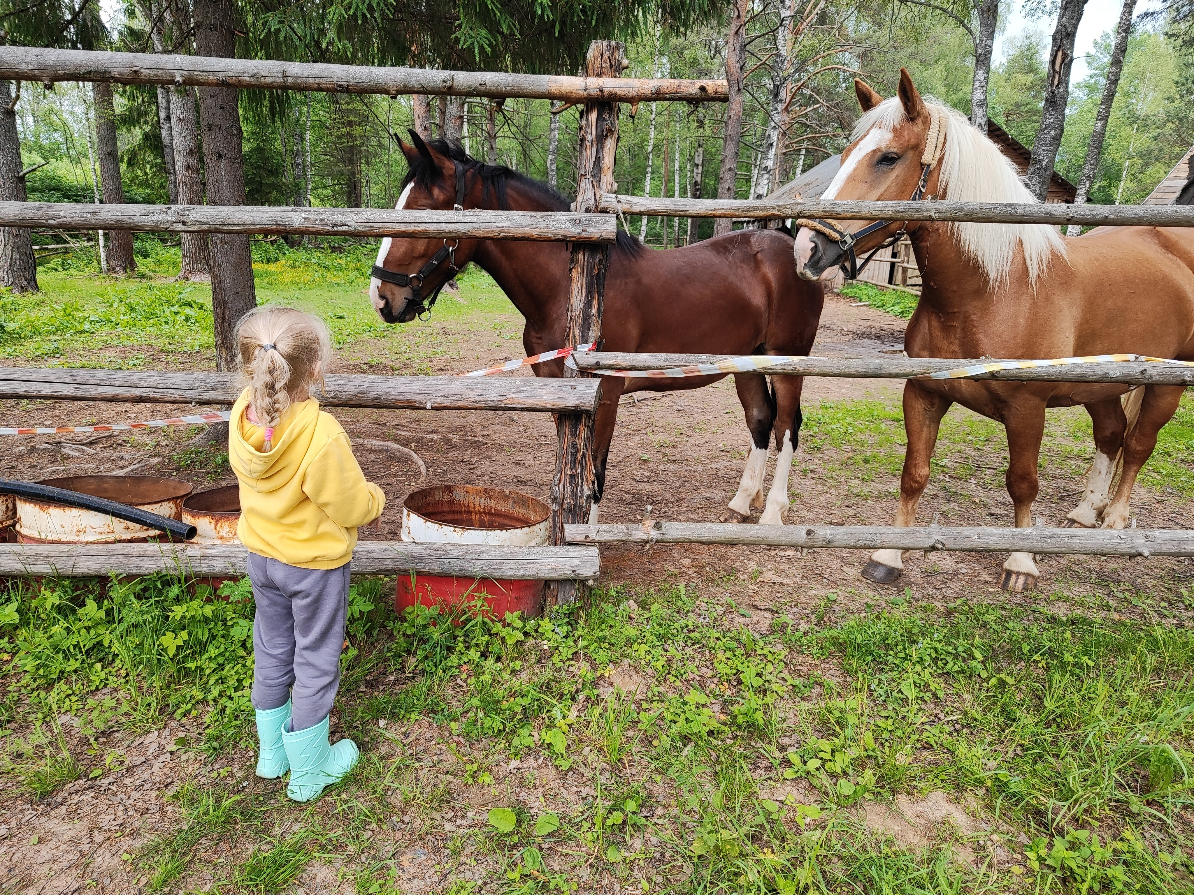 Фото Верхнее Никольское
