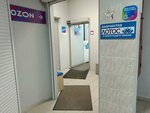 Lotos (Iskrovsky Avenue, 32к1), dry cleaning