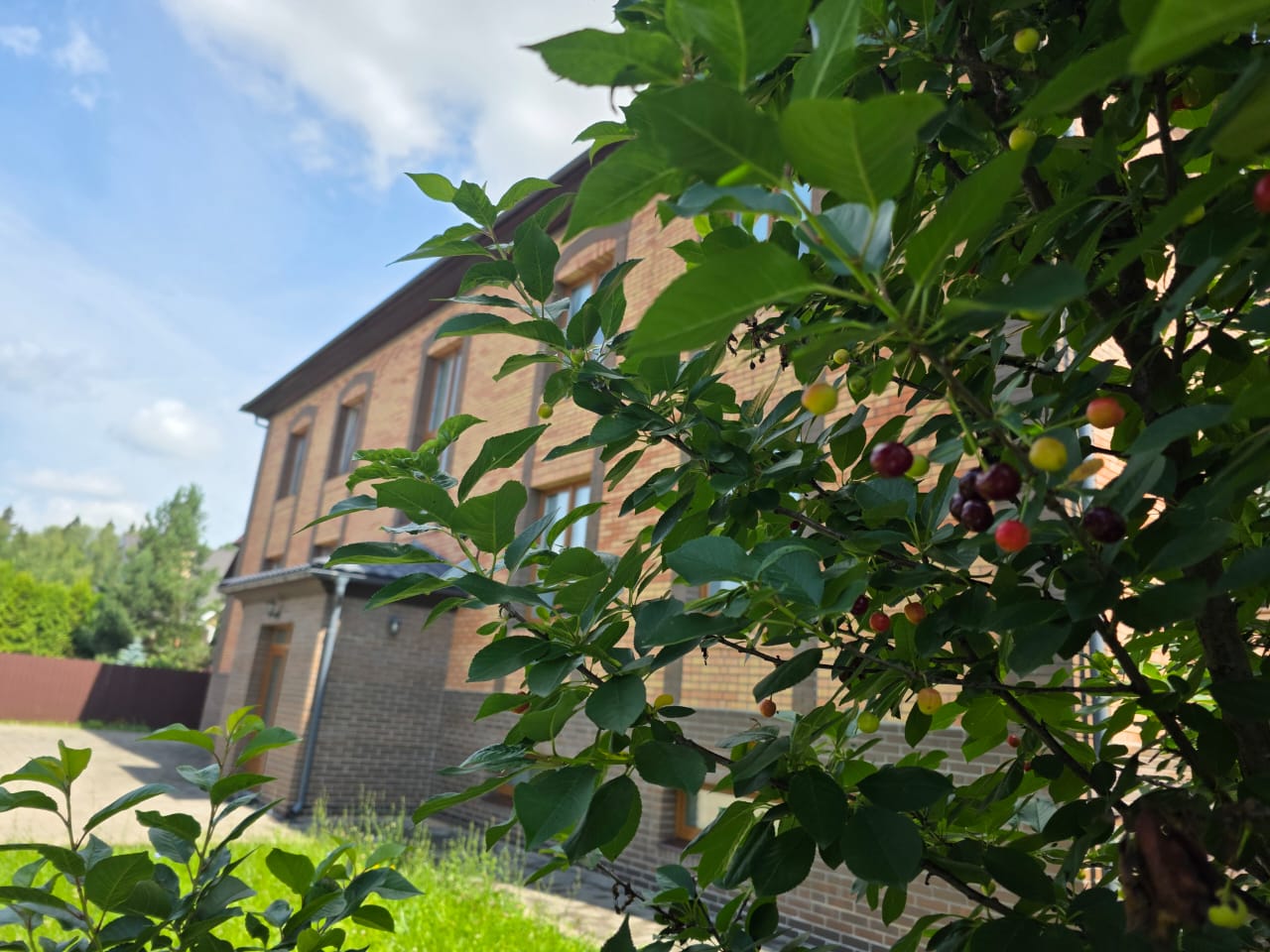 Фото Медово Хауз