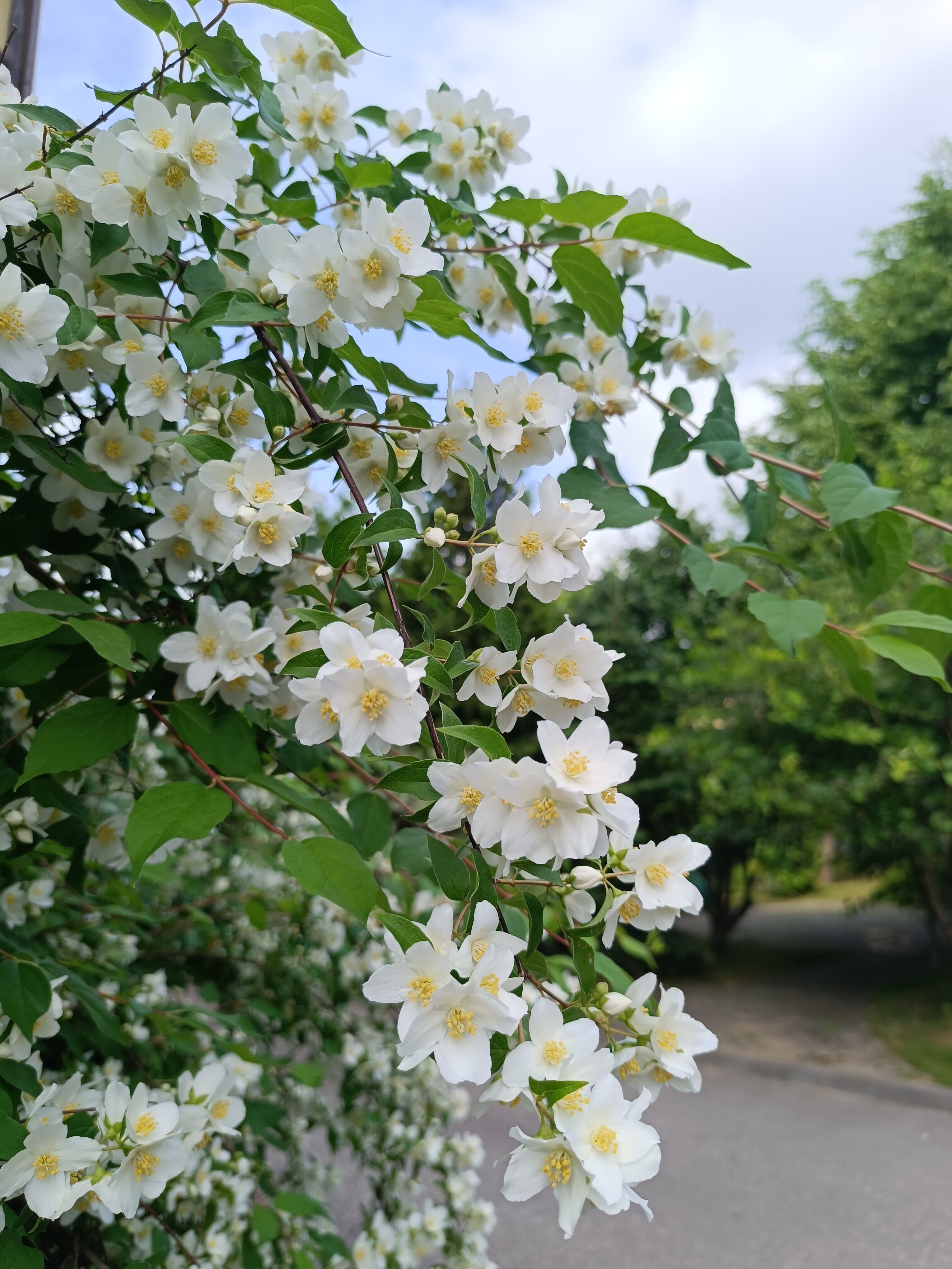 Фото Дом Учёных