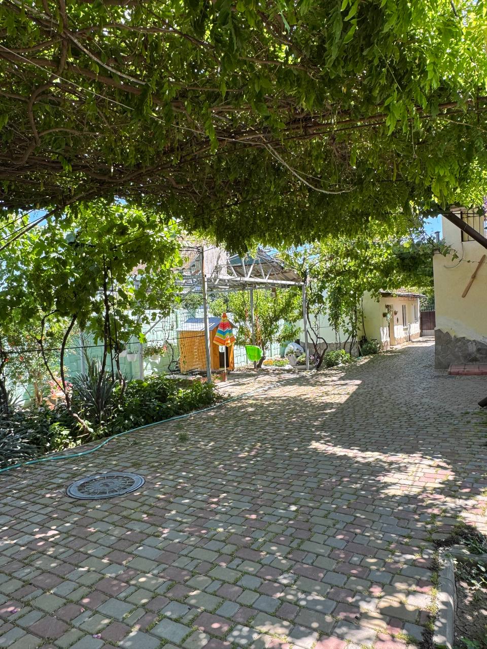 Фото Долина солнца