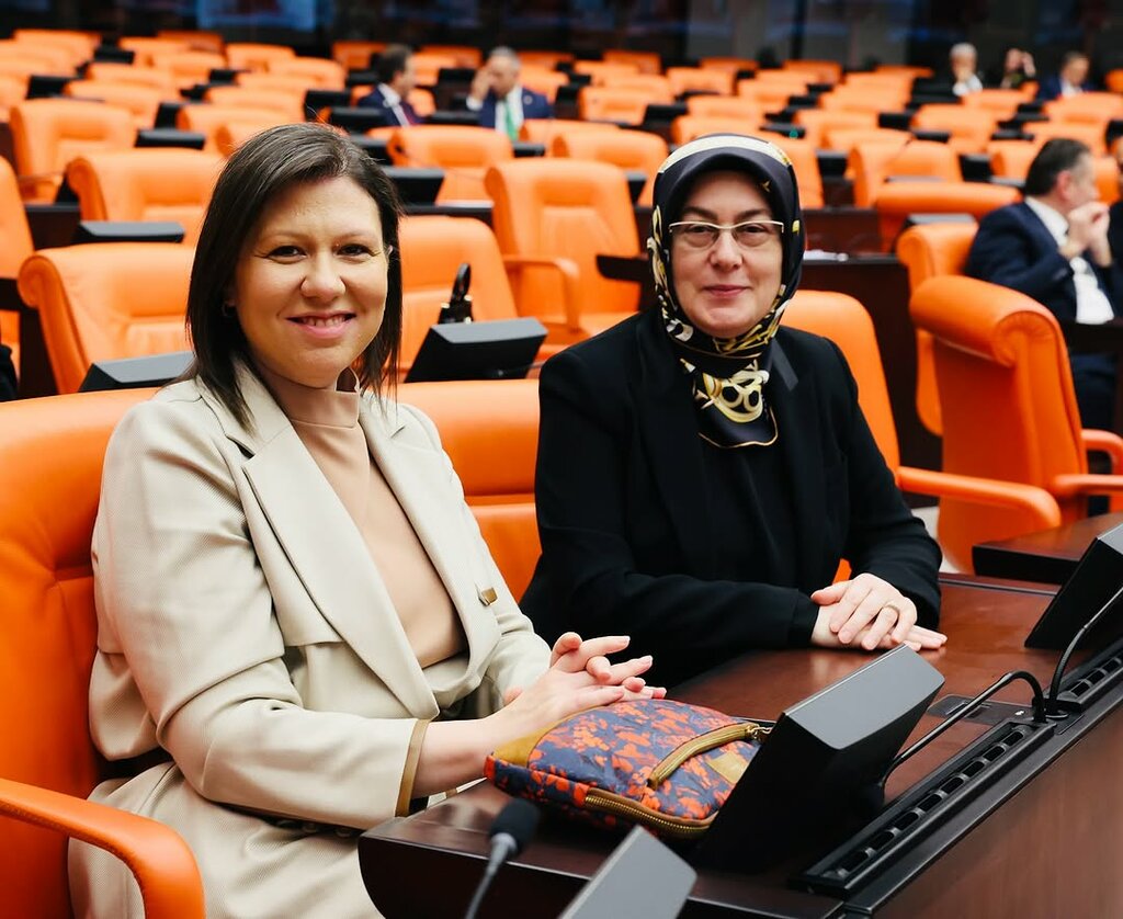 Primary school Subaşı Primary School, Catalca, photo