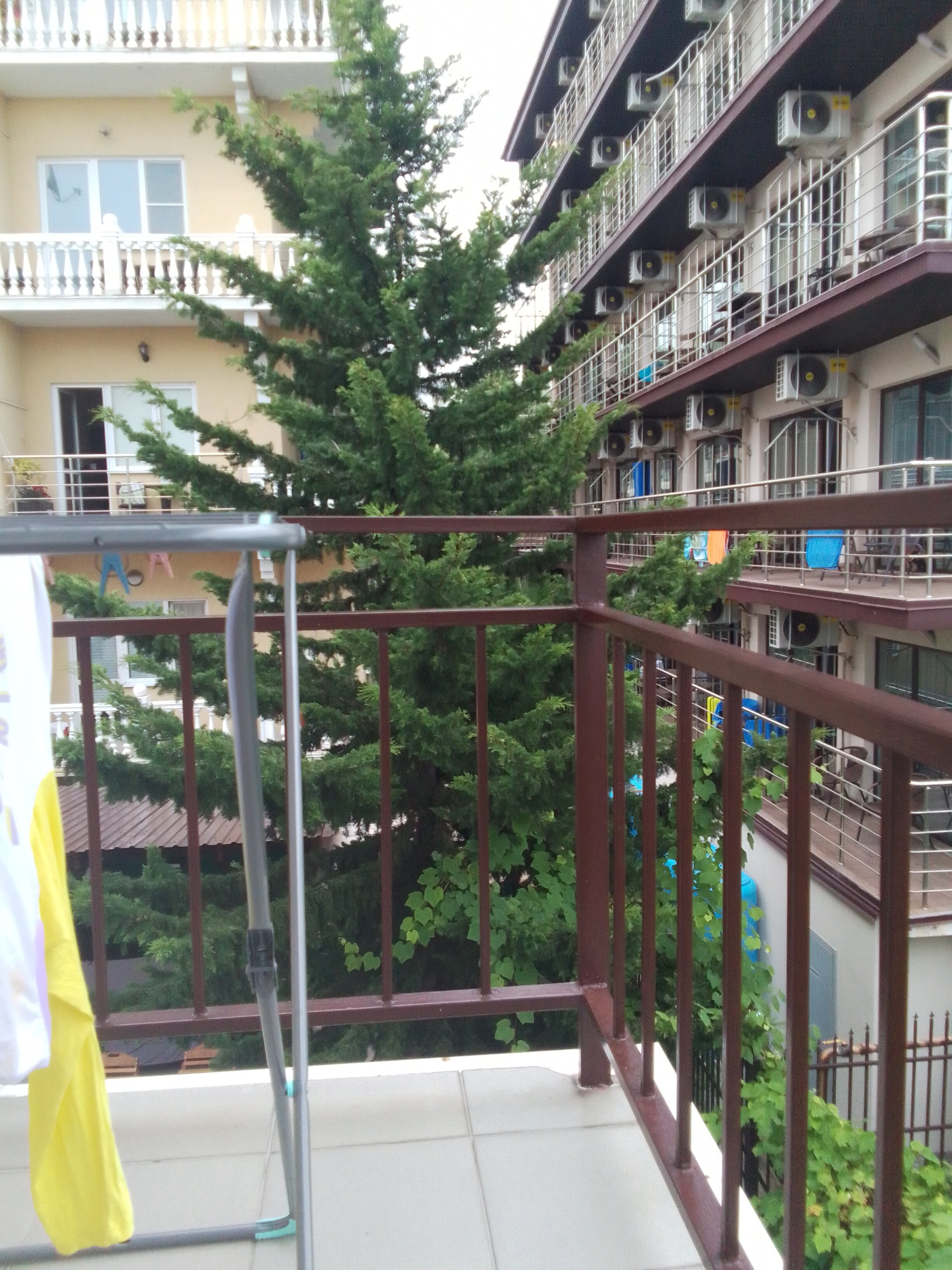 Фото Остров Сочи