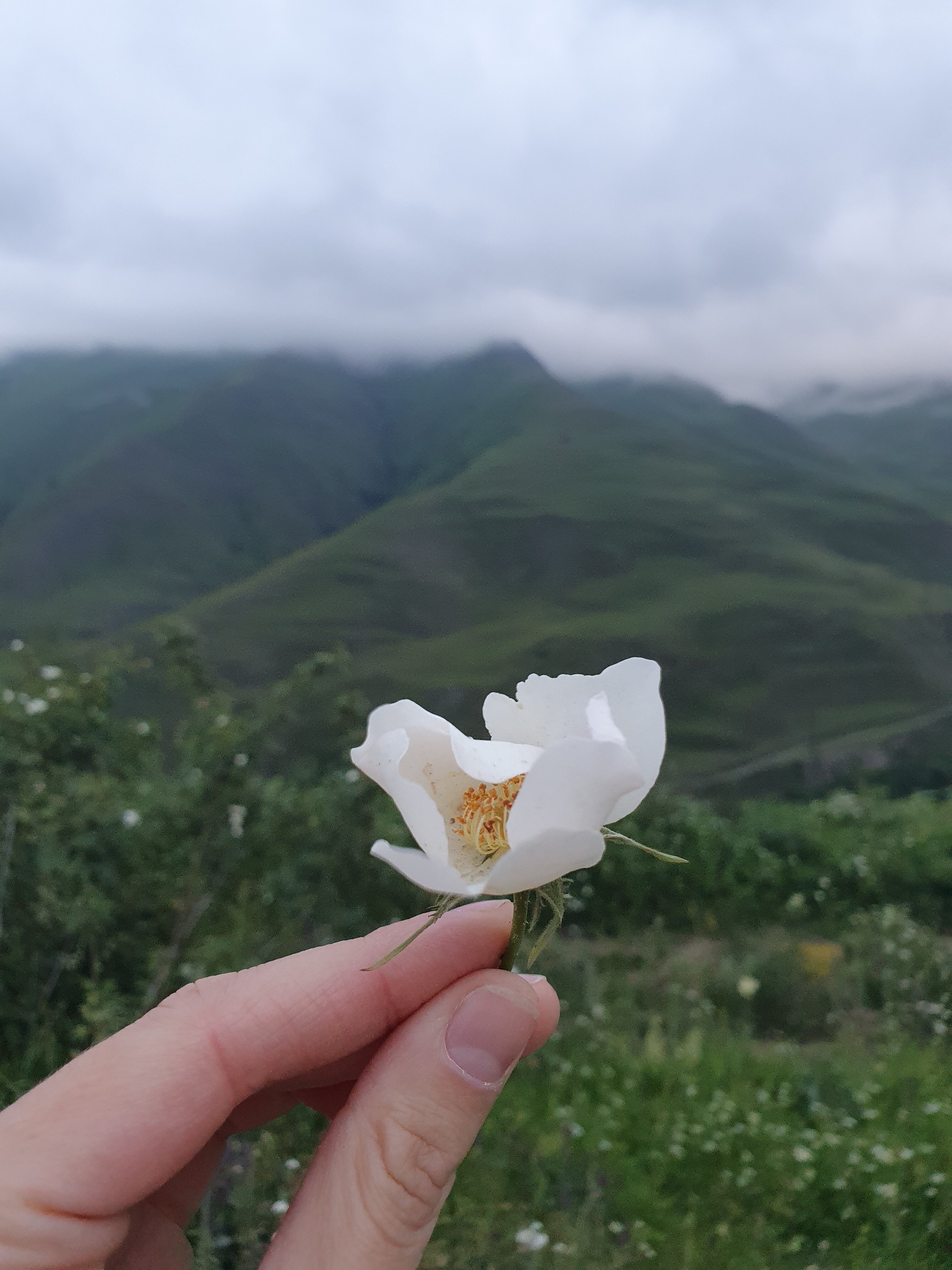 Фото Дом Рохсан