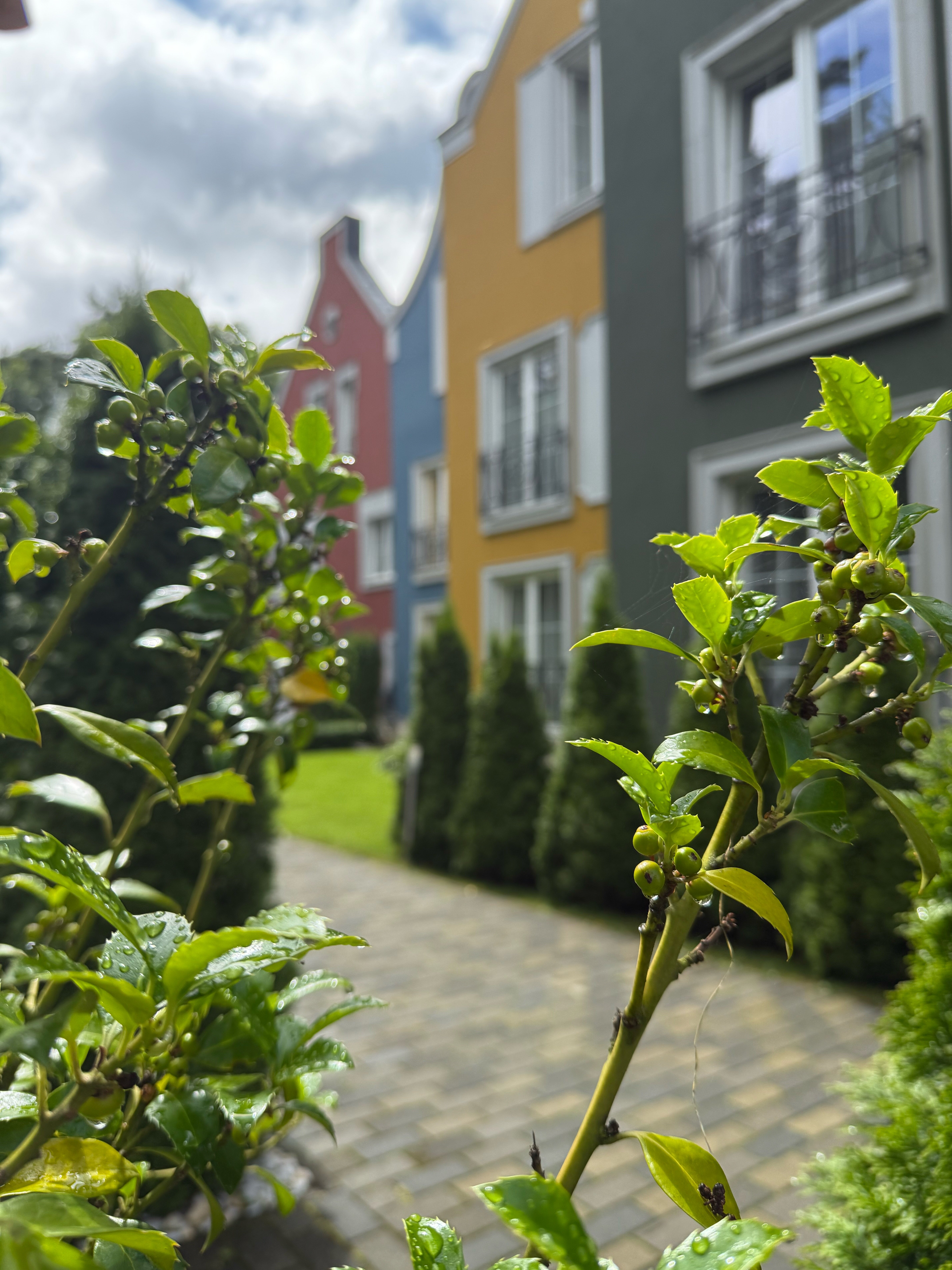 Фото Мадам Эль