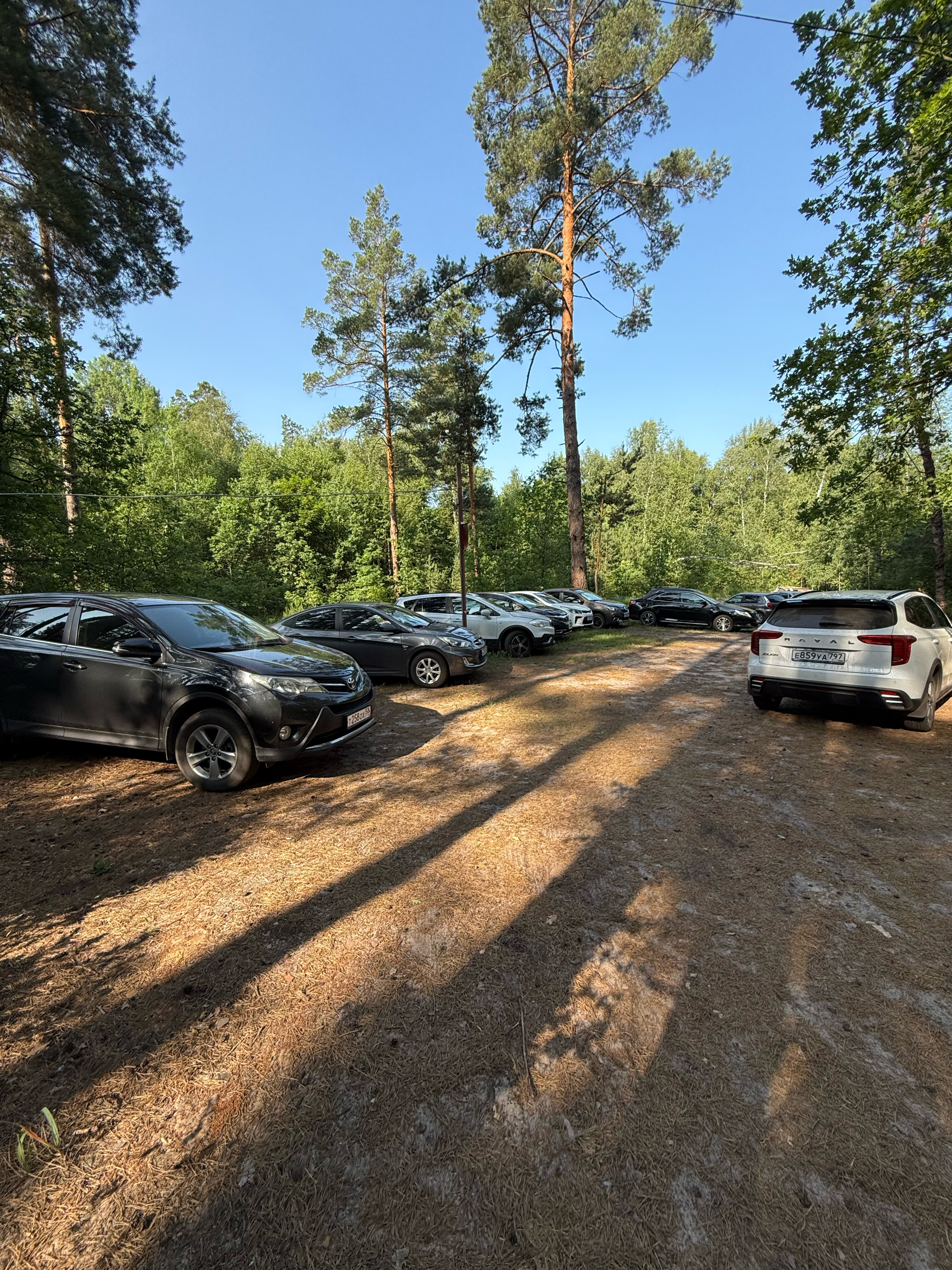 Фото Лесная дача