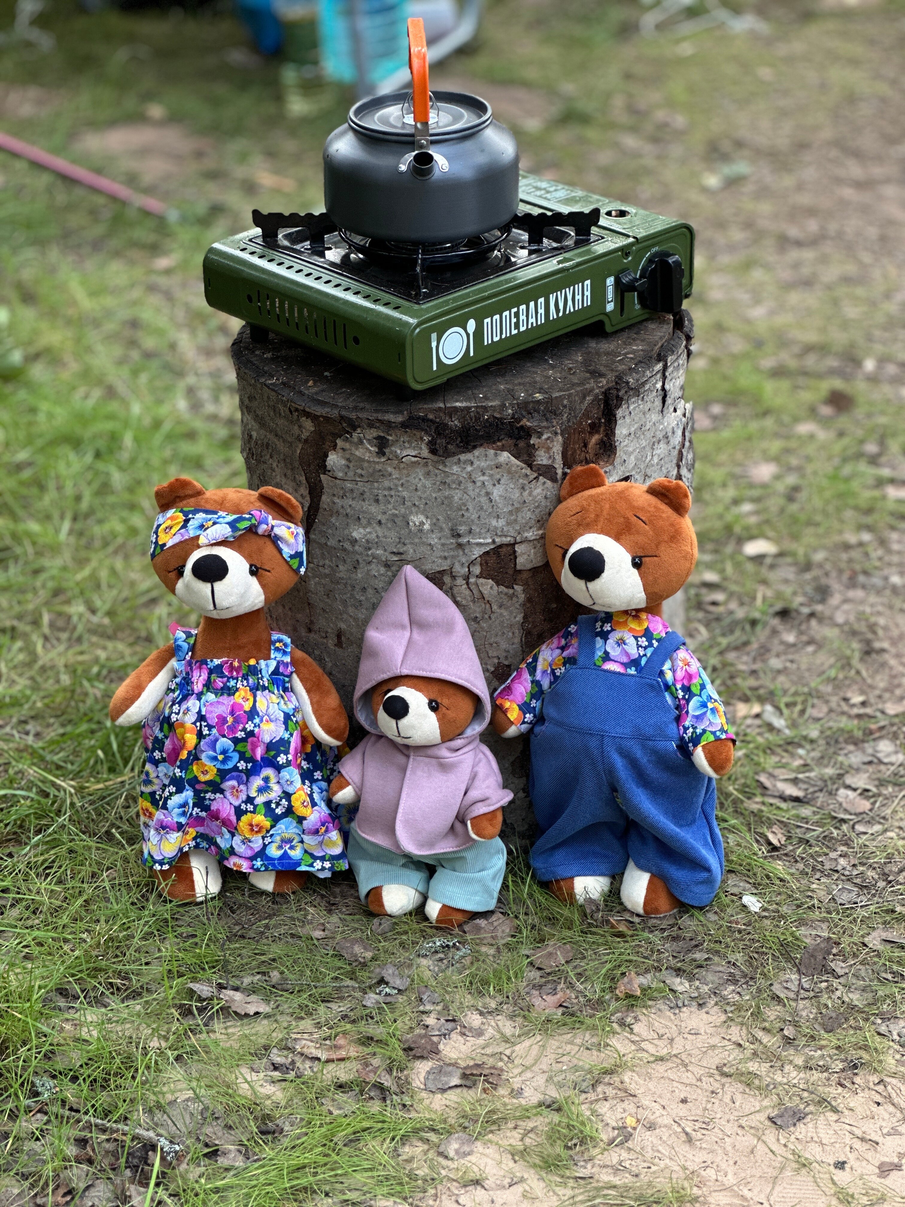 Фото Эковиладж Селигер