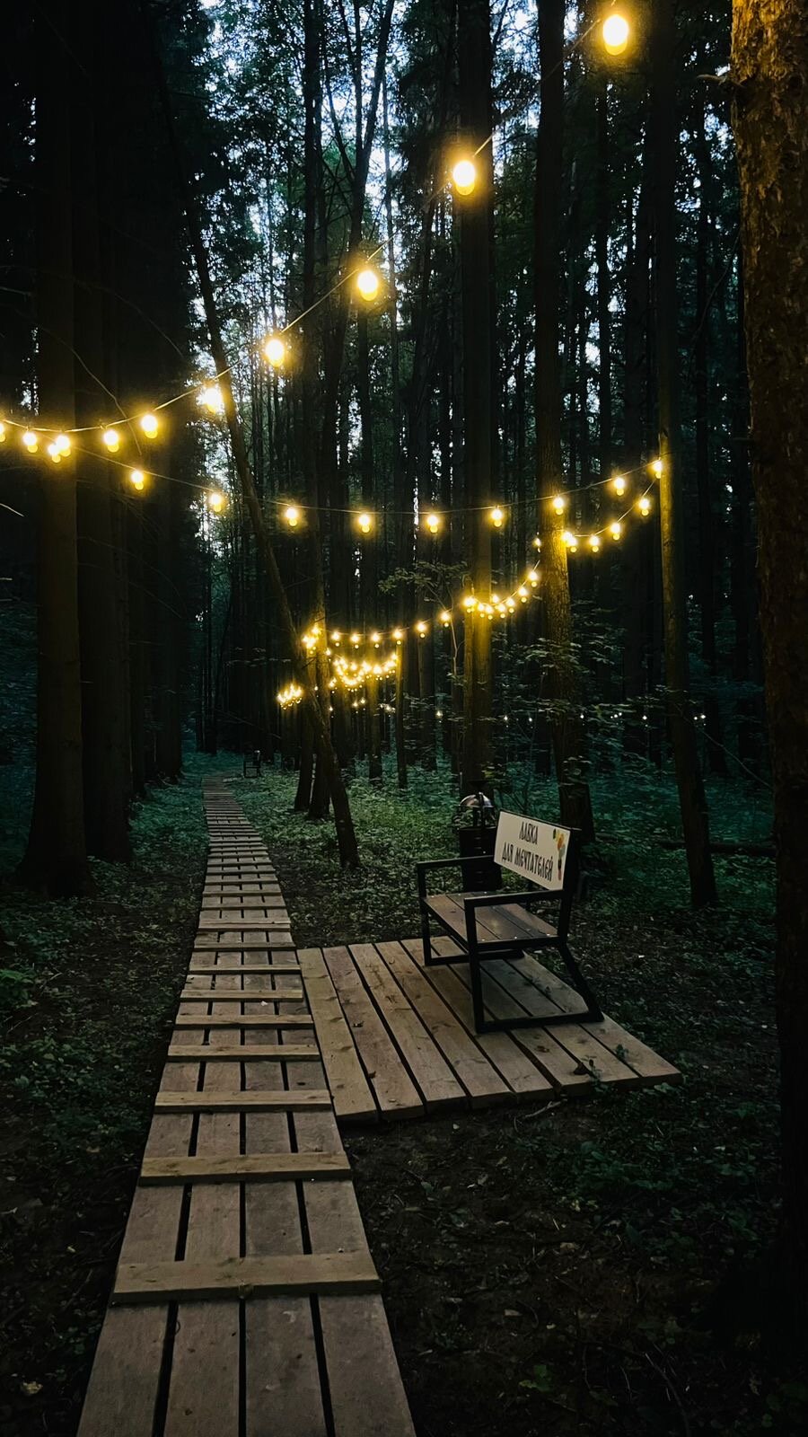 Фото ПаиАкс