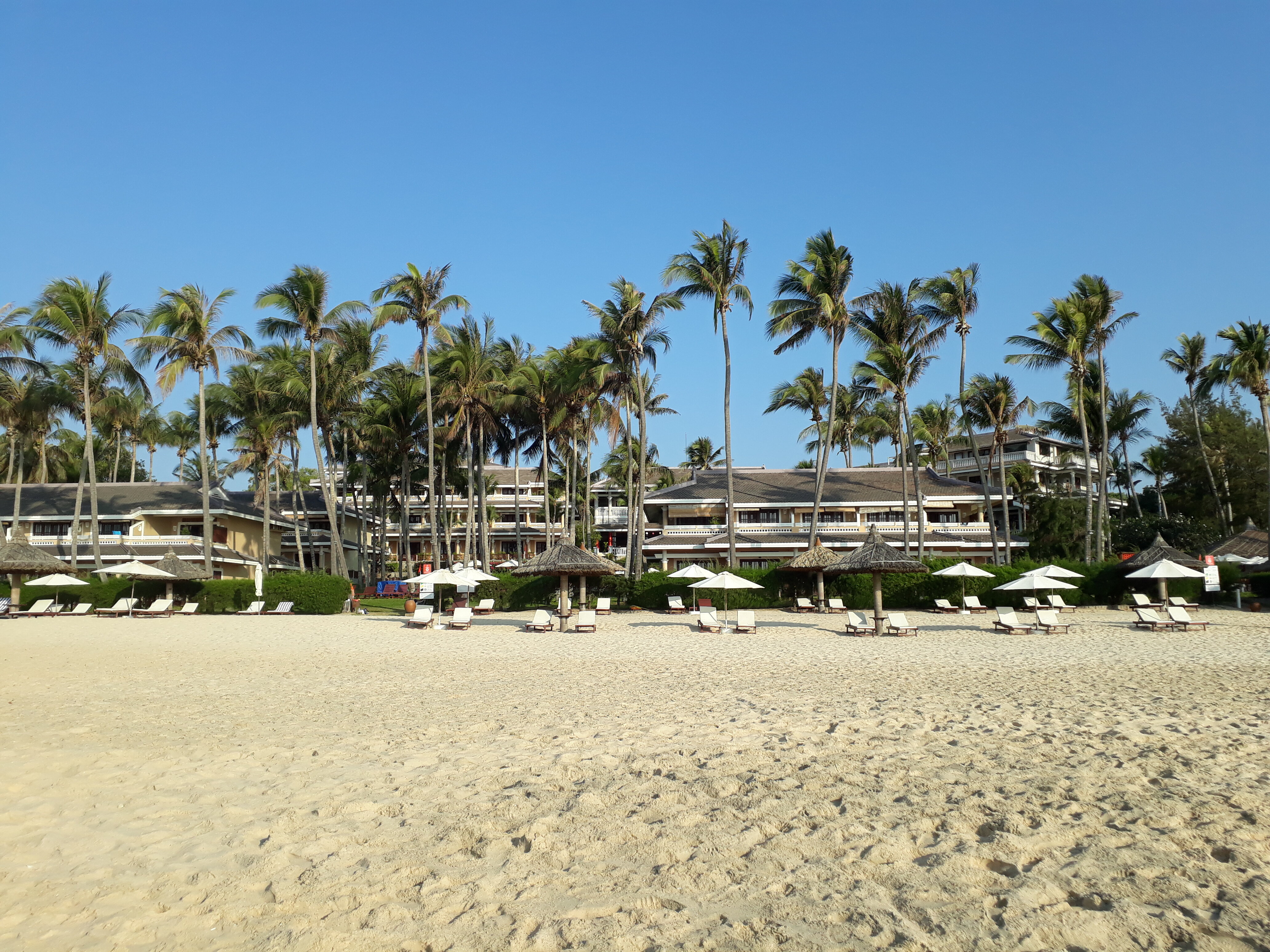 Фото Amaryllis Resort & SPA