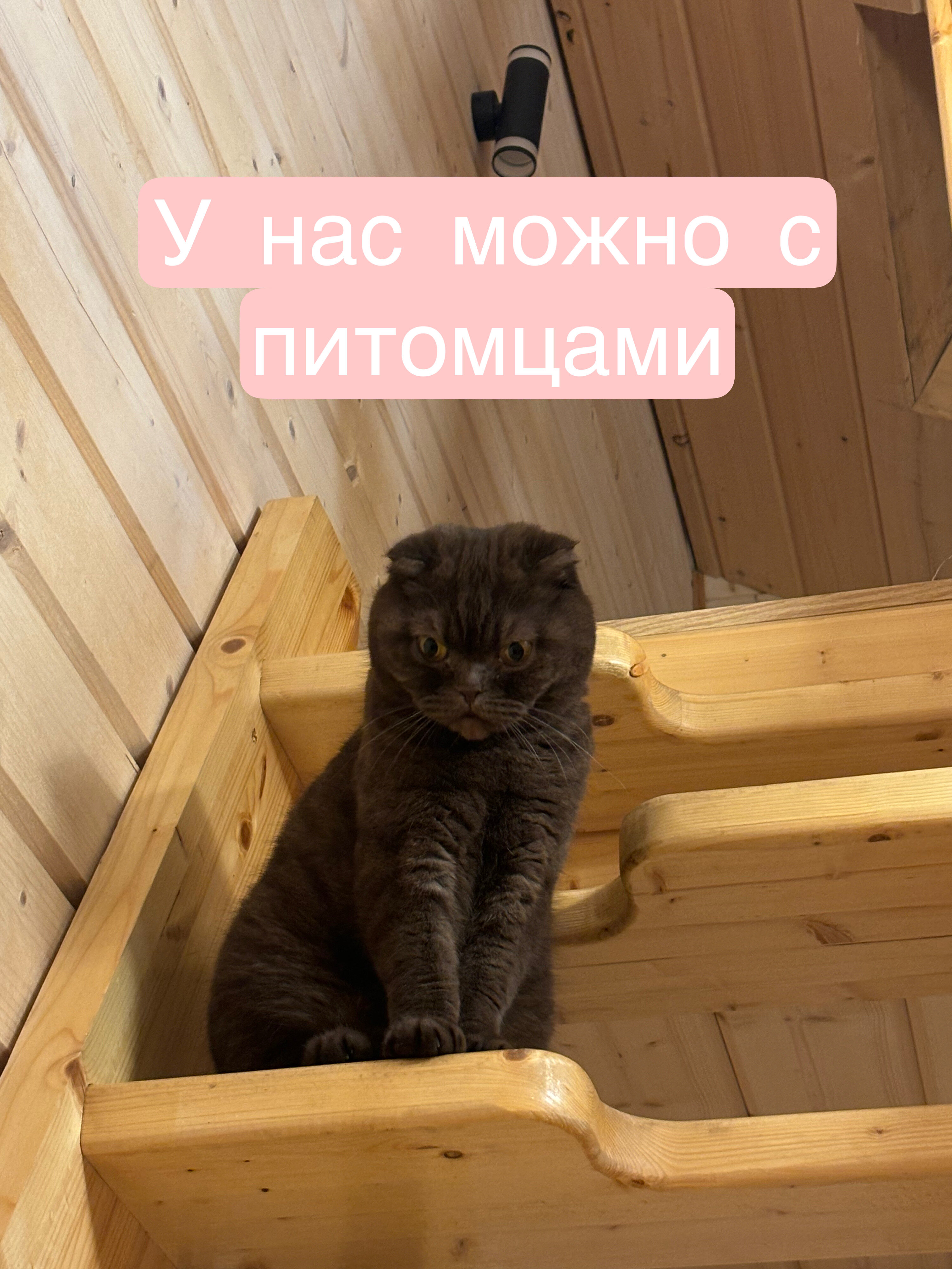 Фото Традиция отдыха