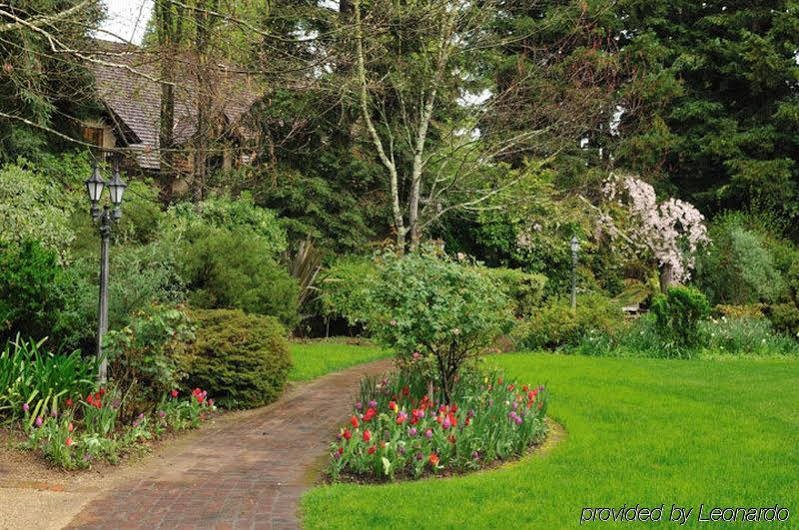 Фото Harvest Inn