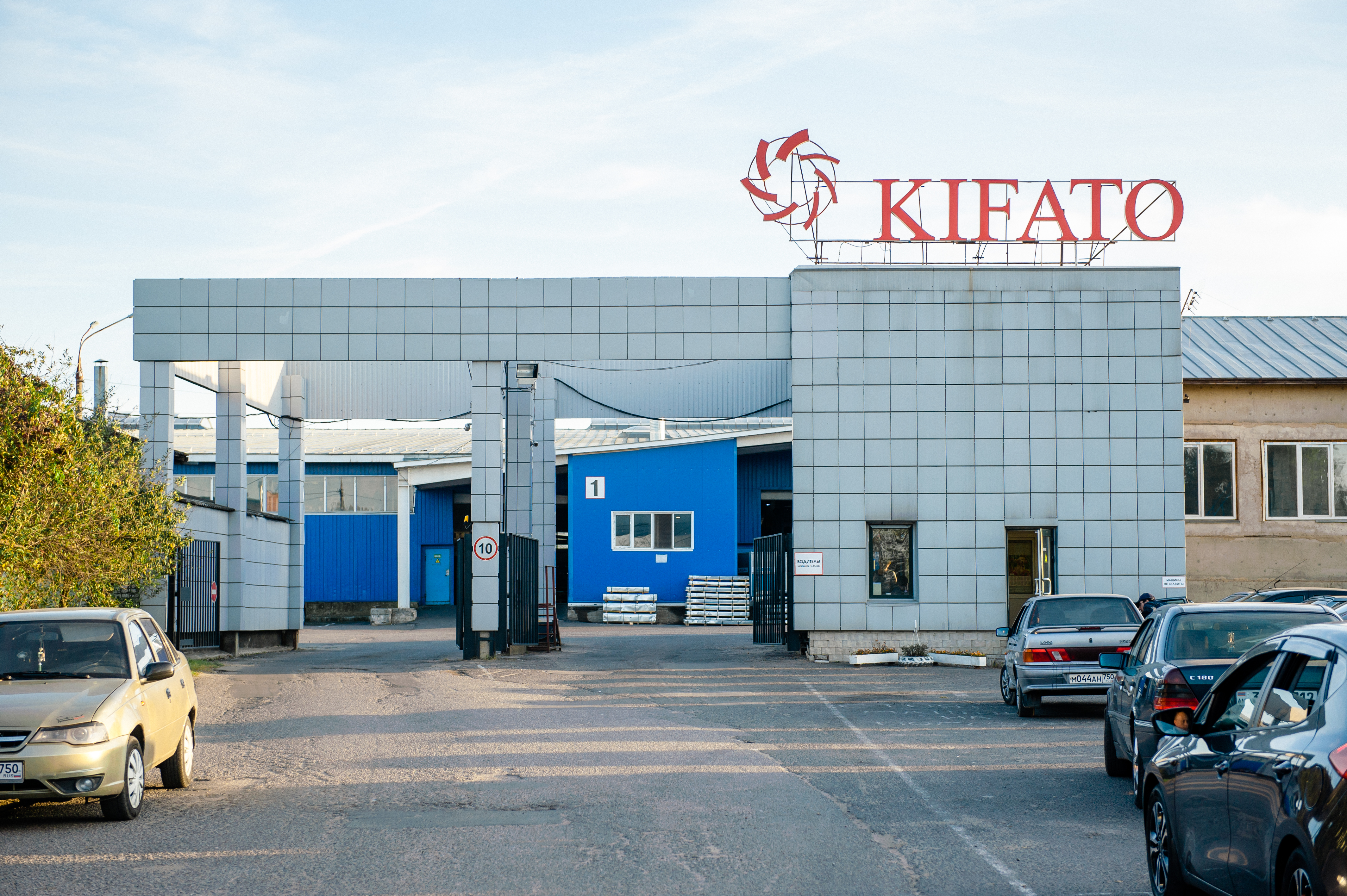 Виноград волоколамское ш 22а клин фото