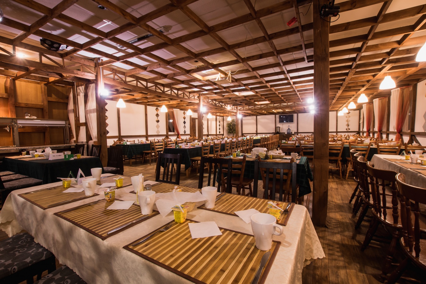 Фото Спутник