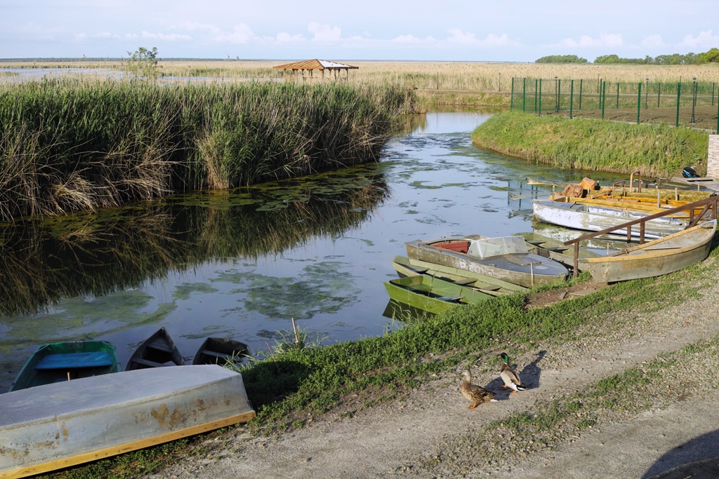 Фото Юность