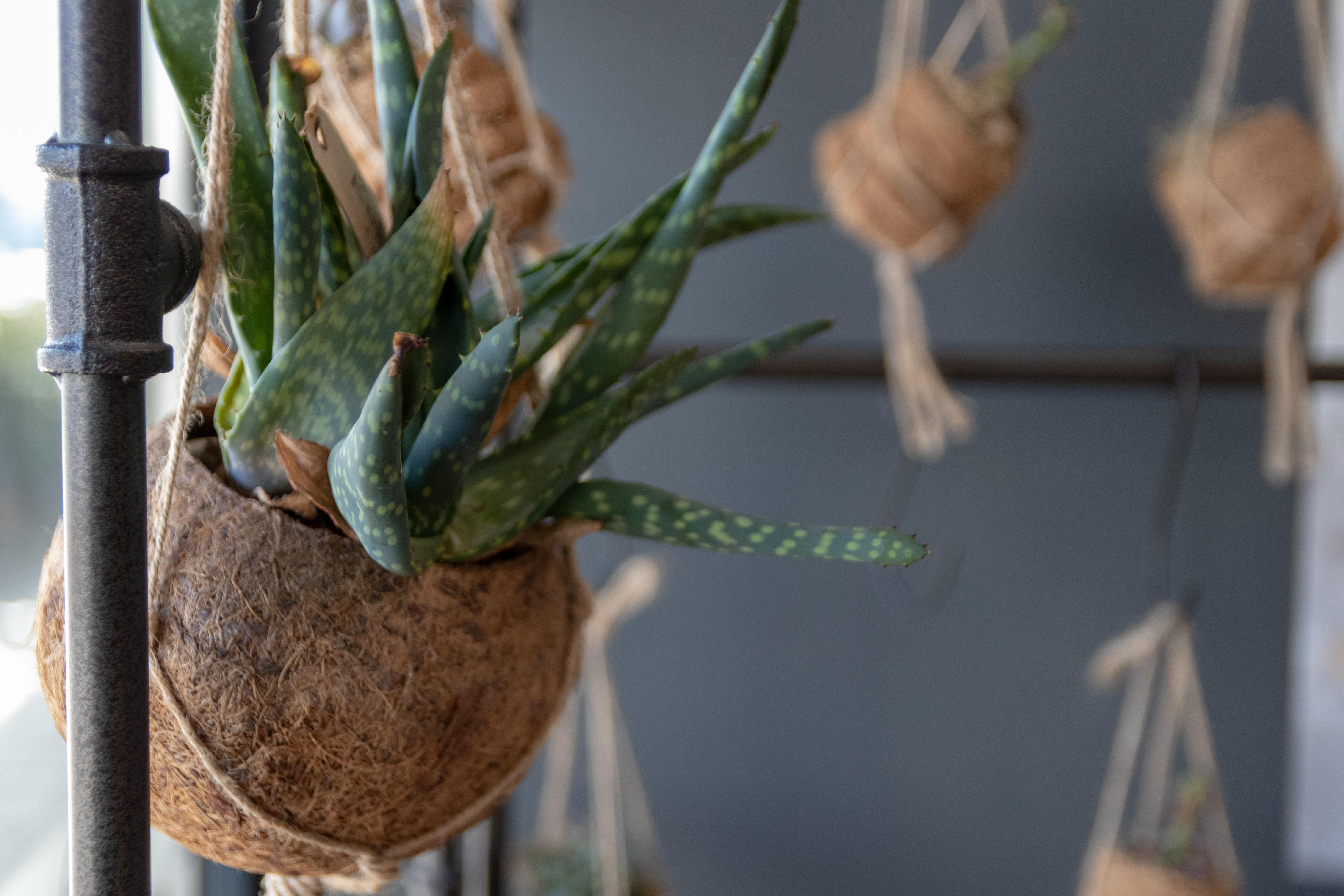 Фото B&b Hotel Le Havre Centre Gare