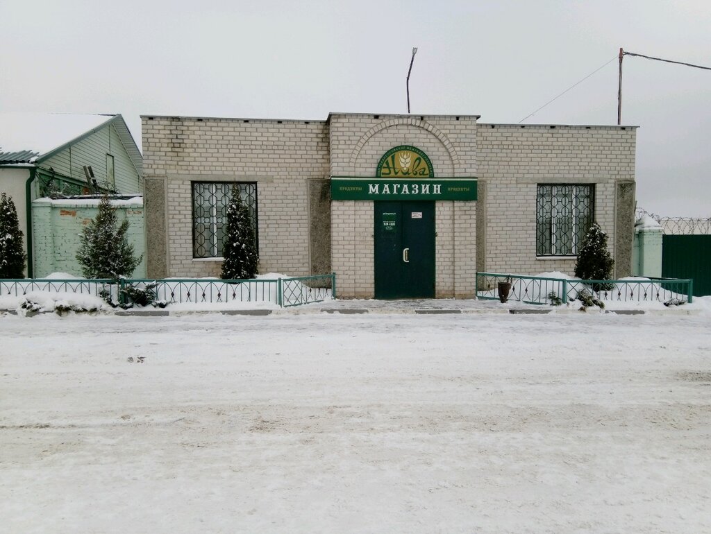Grocery Niva magazin Zadneprovsky Mezhrayagroservis, Mogilev, photo