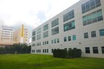 Access Marijuana Rx (United States, Saint Petersburg, 7901 4th Street N, Suite 205), alternative medicine