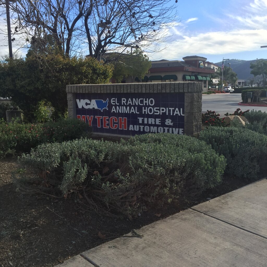 el rancho animal hospital