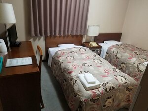 Гостиница Hotel Green Palace