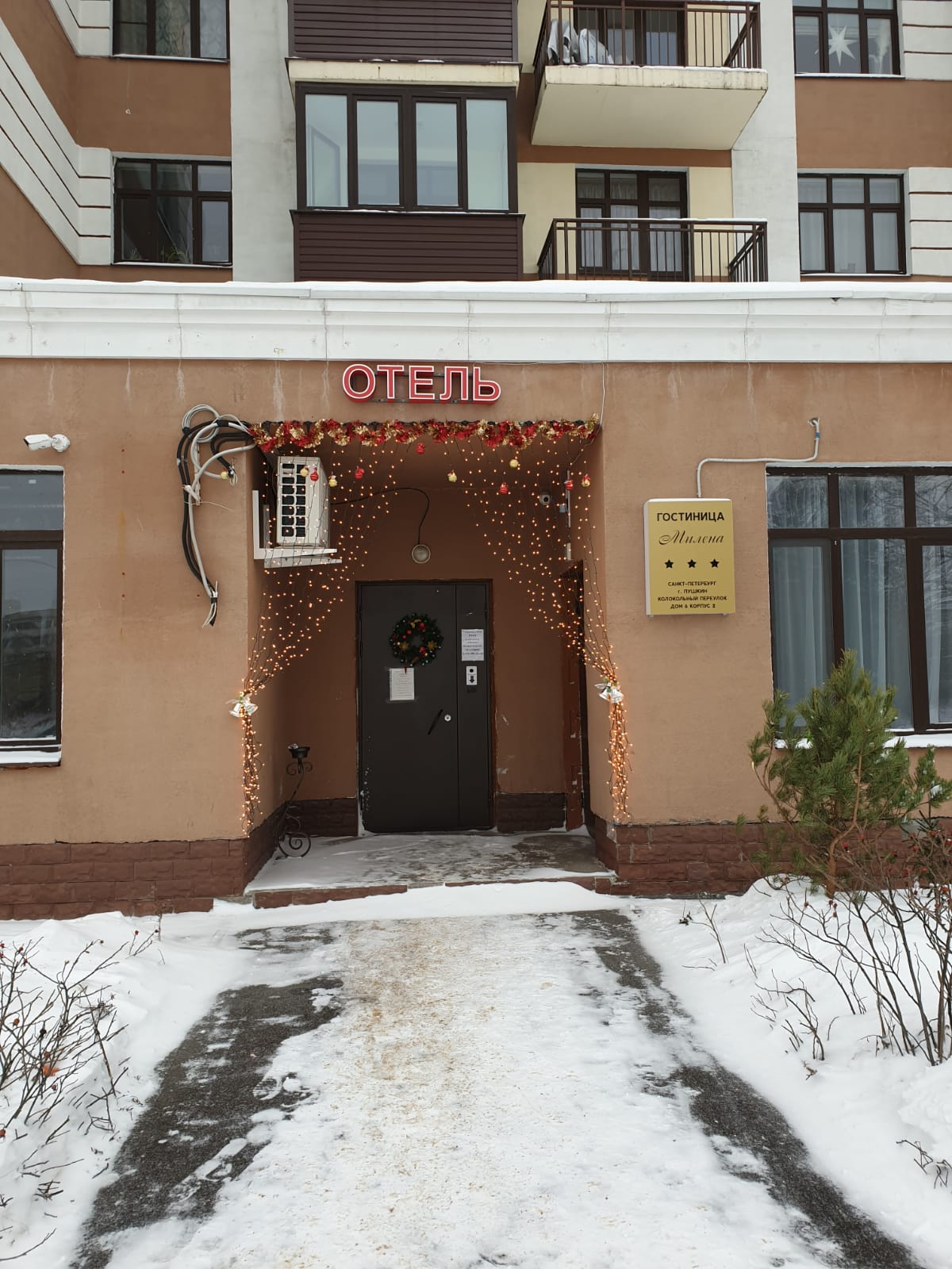 Фото Милена